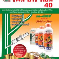 โฟลิอาร์ฟอส 500ml. กรดฟอสโฟนิก สารกำจัดเชื้อรา โรครากเน่าโคนเน่า โรคราน้ำค้าง โรคยอดเน่า โรคต้นเน่า โรคเส้นดำ โรคเสี้ยนดำ โรคพืช