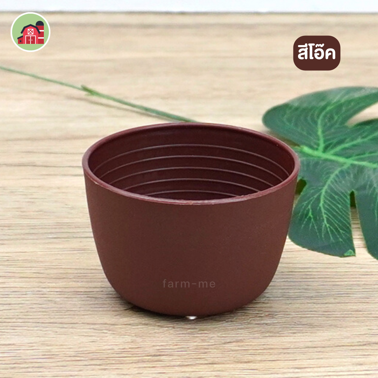 กระถางแคคตัส กลม ขนาด 2.5 นิ้ว แพ็ค50ใบ