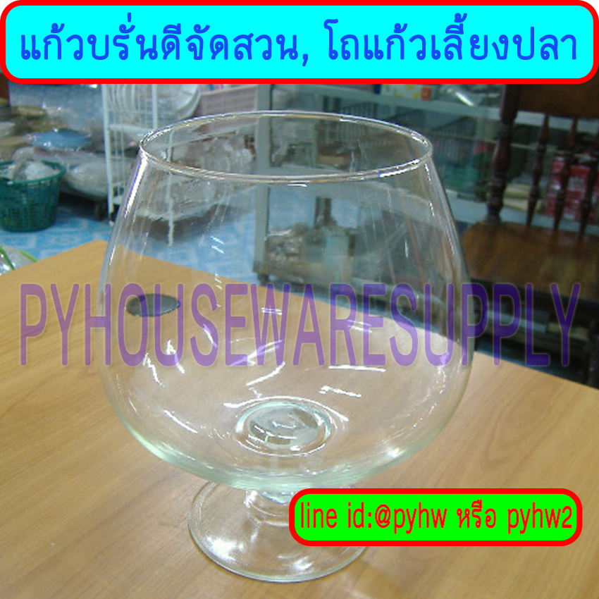 แก้วบรั่นดีจัดสวนขนาดใหญ่ขนาด 6.5 นิ้ว ,แก้วไวน์จัดสวน,แก้วจัดสวนมีก้านจัดสวนเลี้ยงปลาทอง,แก้วไวน์น้ำยักษ์,ถ้วยแก้วเลี้ยงแมลง,แชมเปญยักษ์จัดสวน
