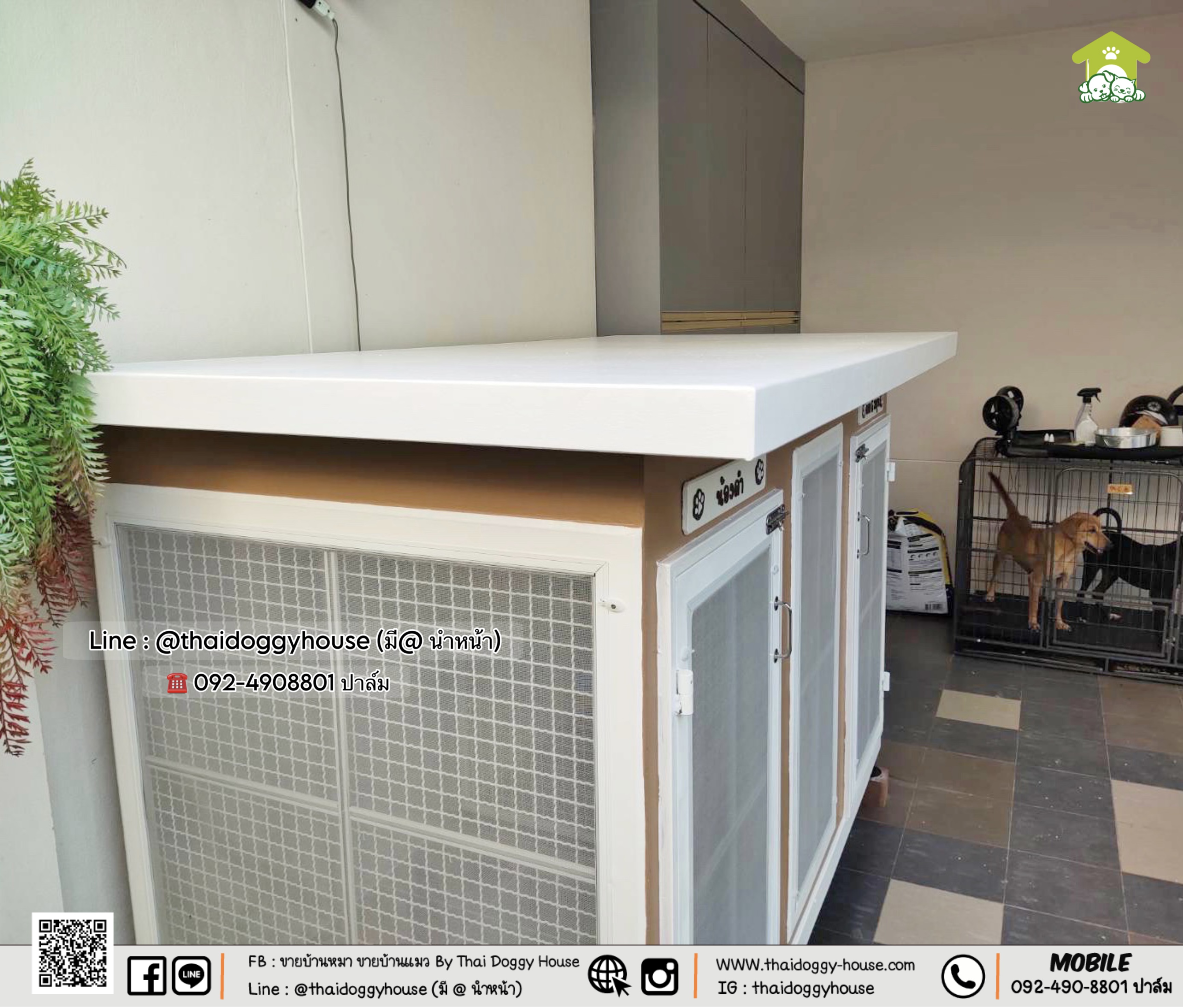 บ้านหมา บ้านแมว " 𝐁𝐎𝐗 𝐒𝐓𝐘𝐋𝐄 𝐁𝐘 𝐓𝐇𝐀𝐈 𝐃𝐎𝐆𝐆𝐘 𝐇𝐎𝐔𝐒𝐄 "