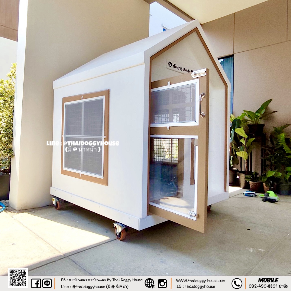 บ้านหมา บ้านแมว Muji