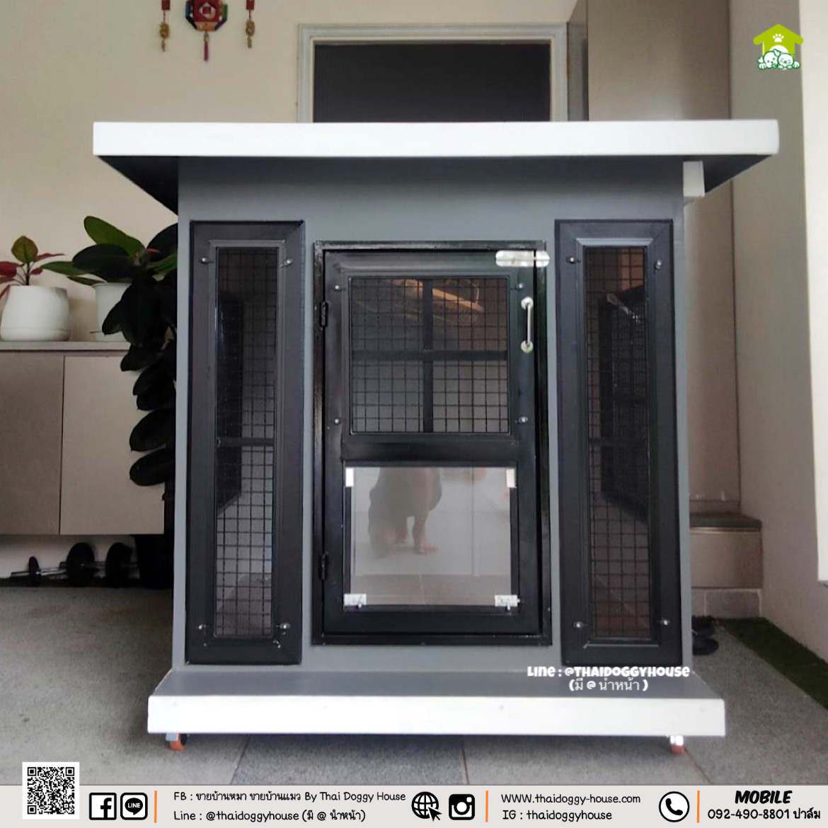 บ้านหมา บ้านแมว " 𝐁𝐎𝐗 𝐒𝐓𝐘𝐋𝐄 𝐁𝐘 𝐓𝐇𝐀𝐈 𝐃𝐎𝐆𝐆𝐘 𝐇𝐎𝐔𝐒𝐄 " พร้