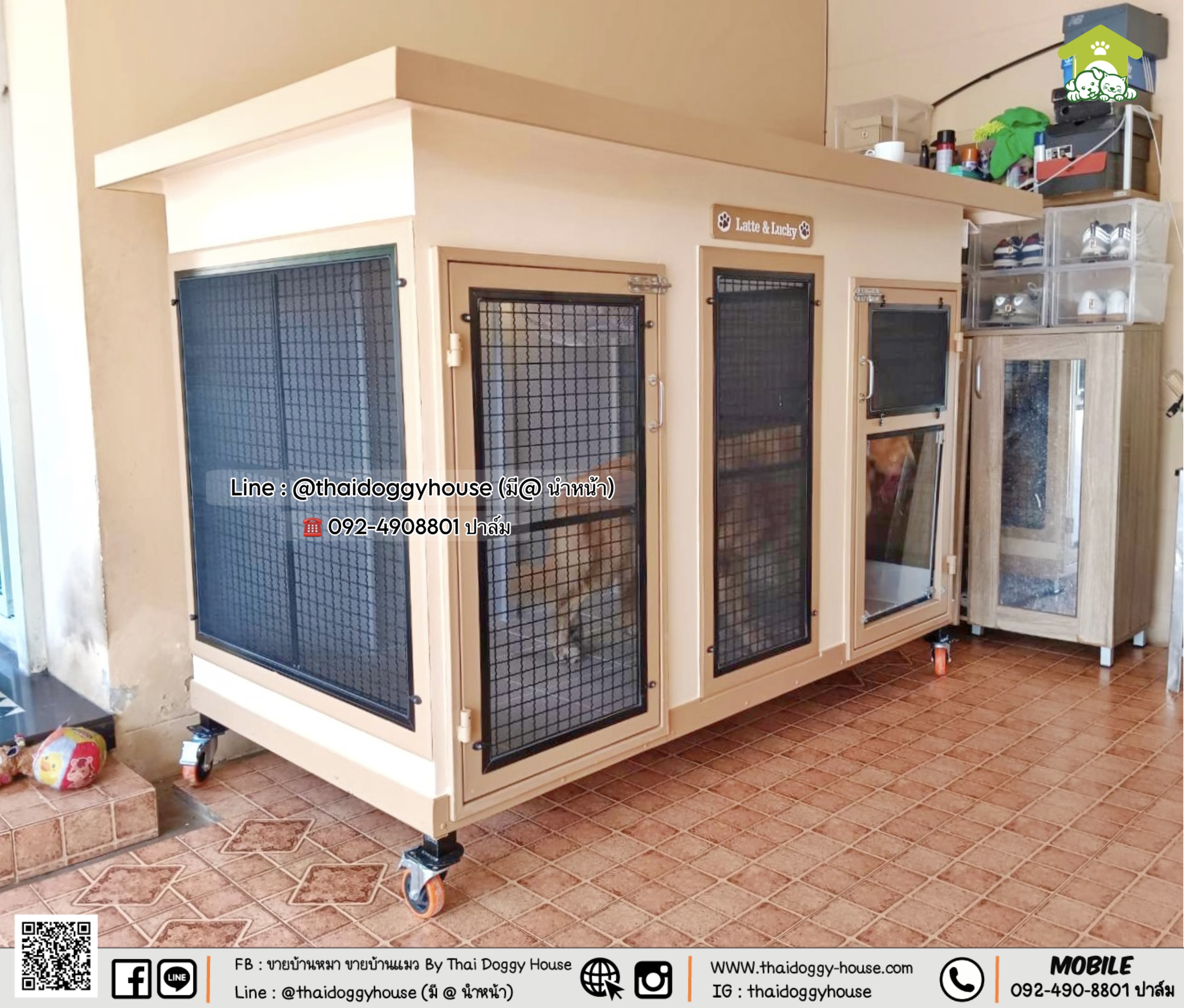 🏡 บ้านหมา บ้านแมว " 𝐁𝐎𝐗 𝐒𝐓𝐘𝐋𝐄 𝐁𝐘 𝐓𝐇𝐀𝐈 𝐃𝐎𝐆𝐆𝐘 𝐇𝐎𝐔𝐒𝐄