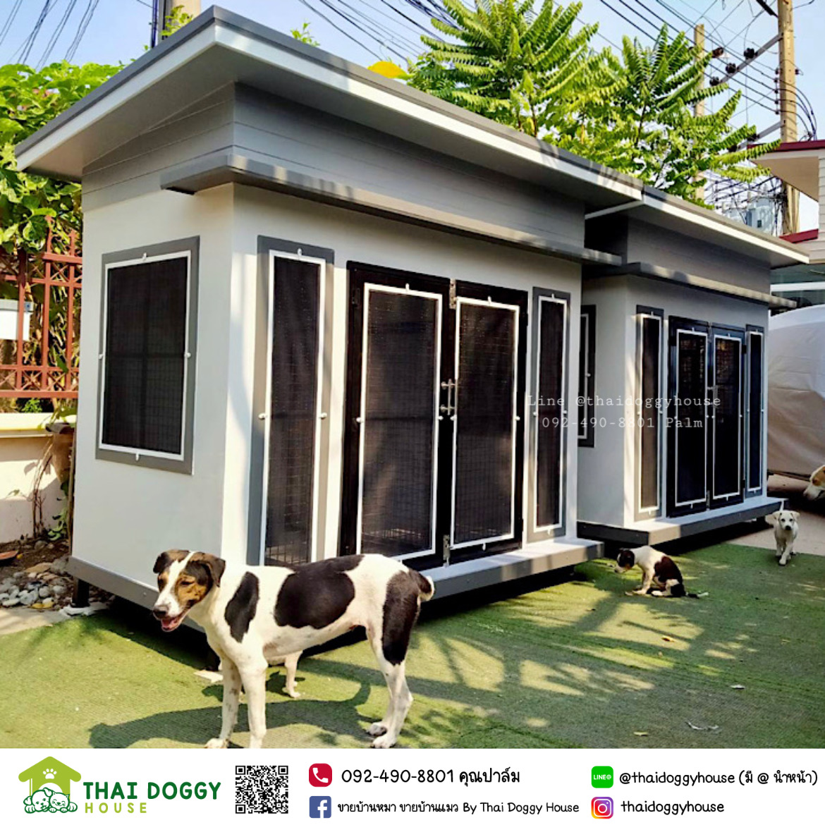 บ้านหมา บ้านแมว ดีไซน์ทันสมัย ติดตั้งชั้นของเล่นน้องแมวเพิ่มได้อีก 😽🐈