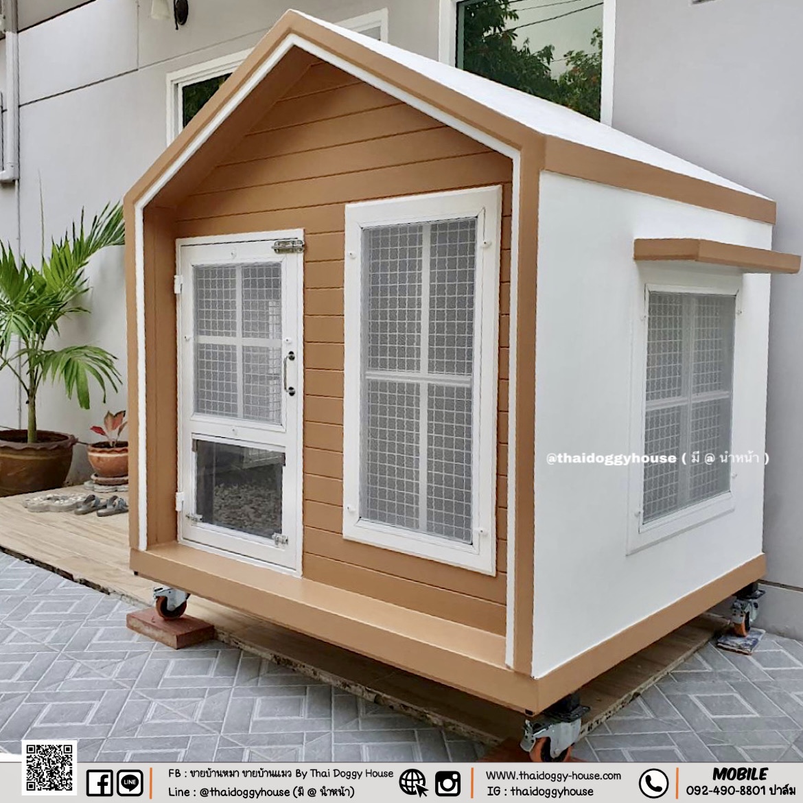 บ้านหมา บ้านแมว บ้านน็อคดาวน์ บ้านสัตว์เลี้ยง แบบพัดลมมีตะแกรงเหล็ก มุ้งลวดทุกหลัง By Thai Doggy House