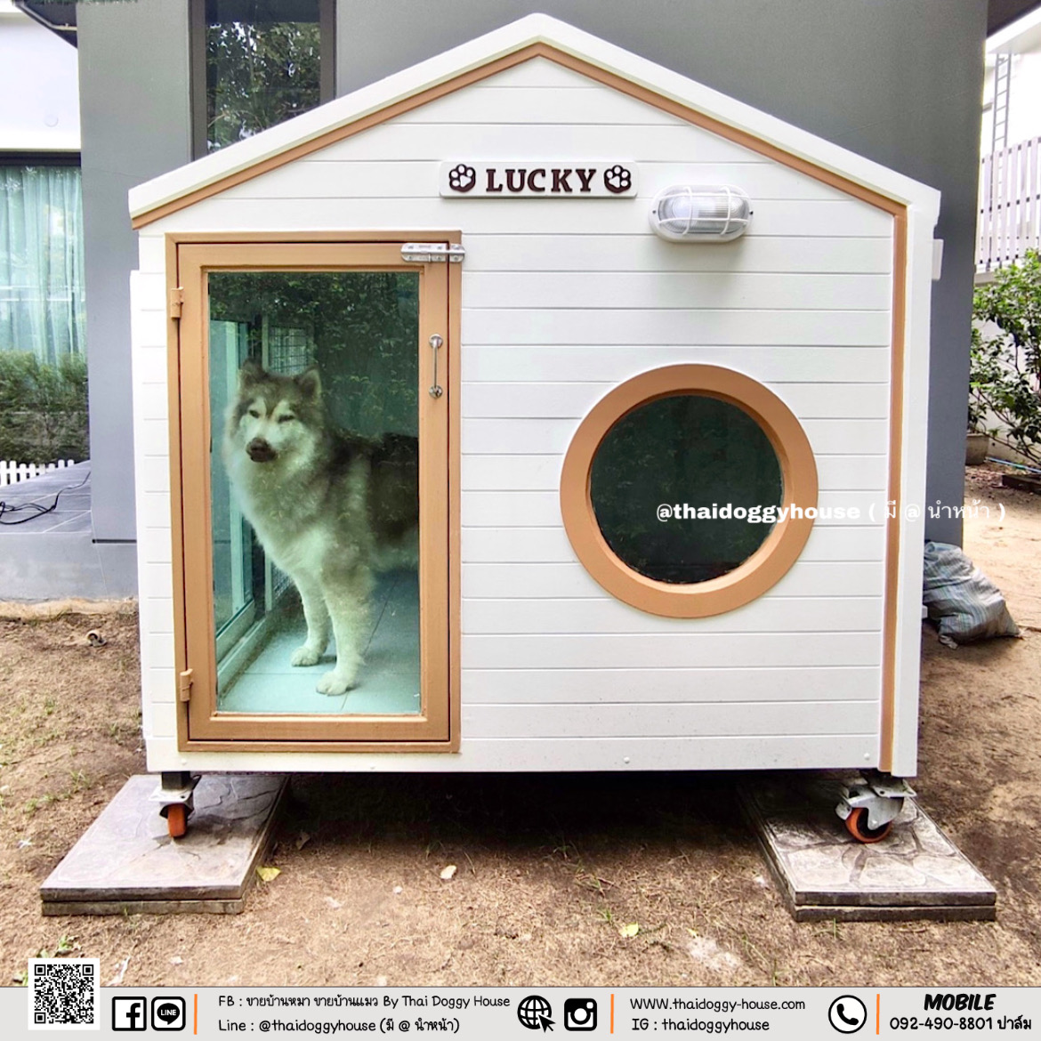 บ้านหมา บ้านแมว บ้านน็อคดาวน์ บ้านสัตว์เลี้ยง แบบติดแอร์ By Thai Doggy House