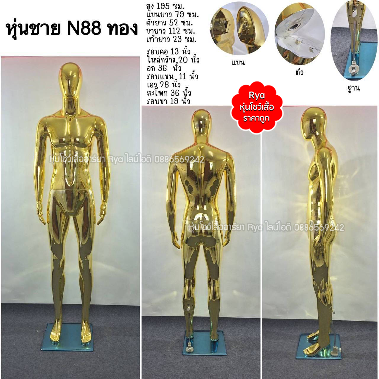 หุ่นเต็มตัวผู้ชายพร้อมฐานวาง ถอดประกอบแขนขาและฐานวางได้ค่