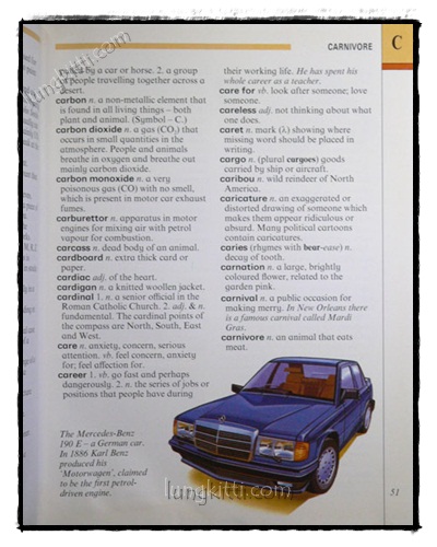 Illustrated Dictionary 021883 (1)