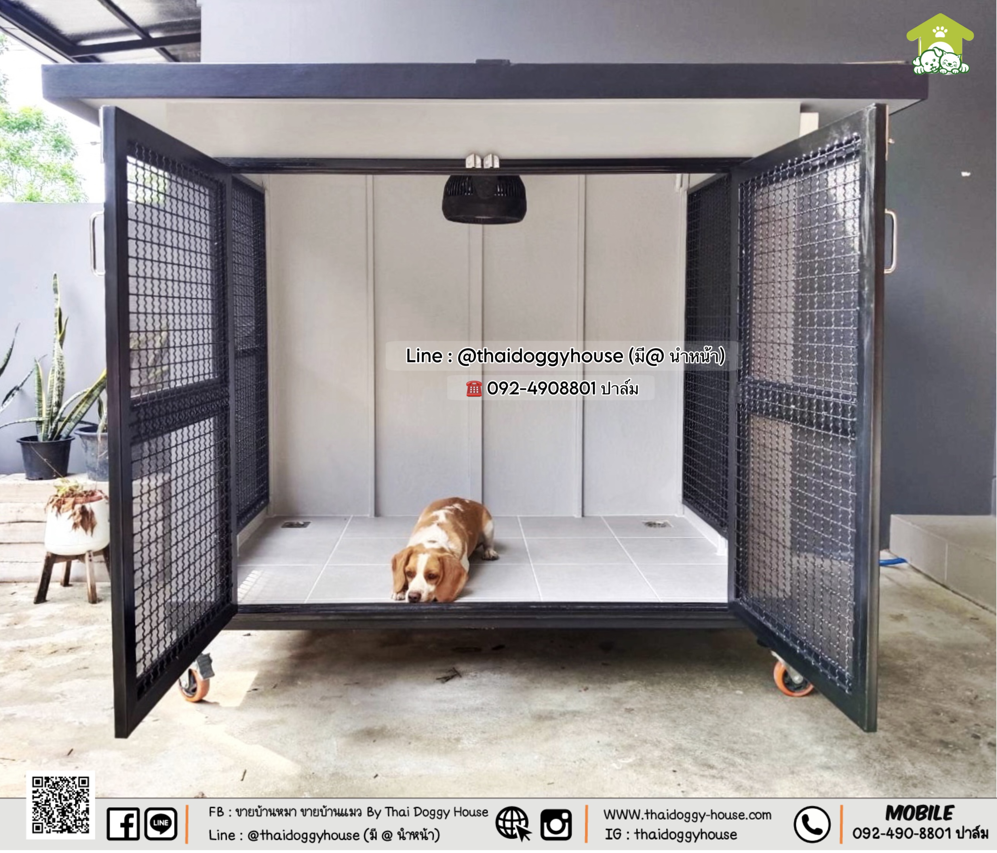 บ้านหมา บ้านแมว " 𝐁𝐎𝐗 𝐒𝐓𝐘𝐋𝐄 𝐁𝐘 𝐓𝐇𝐀𝐈 𝐃𝐎𝐆𝐆𝐘 𝐇𝐎𝐔𝐒𝐄 "