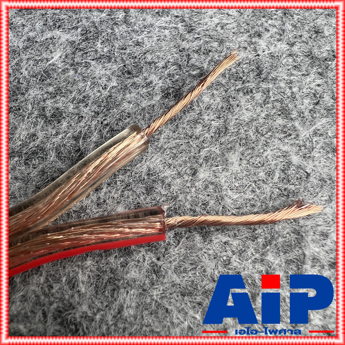 ขด50เมตร สายลำโพงCONNEX SP-16AWG สายลำโพง สายลำโพงใส สายลำโพง SP16AWG สายลำโพงCONNEX SP 16AWG เอไอ-ไพศาล