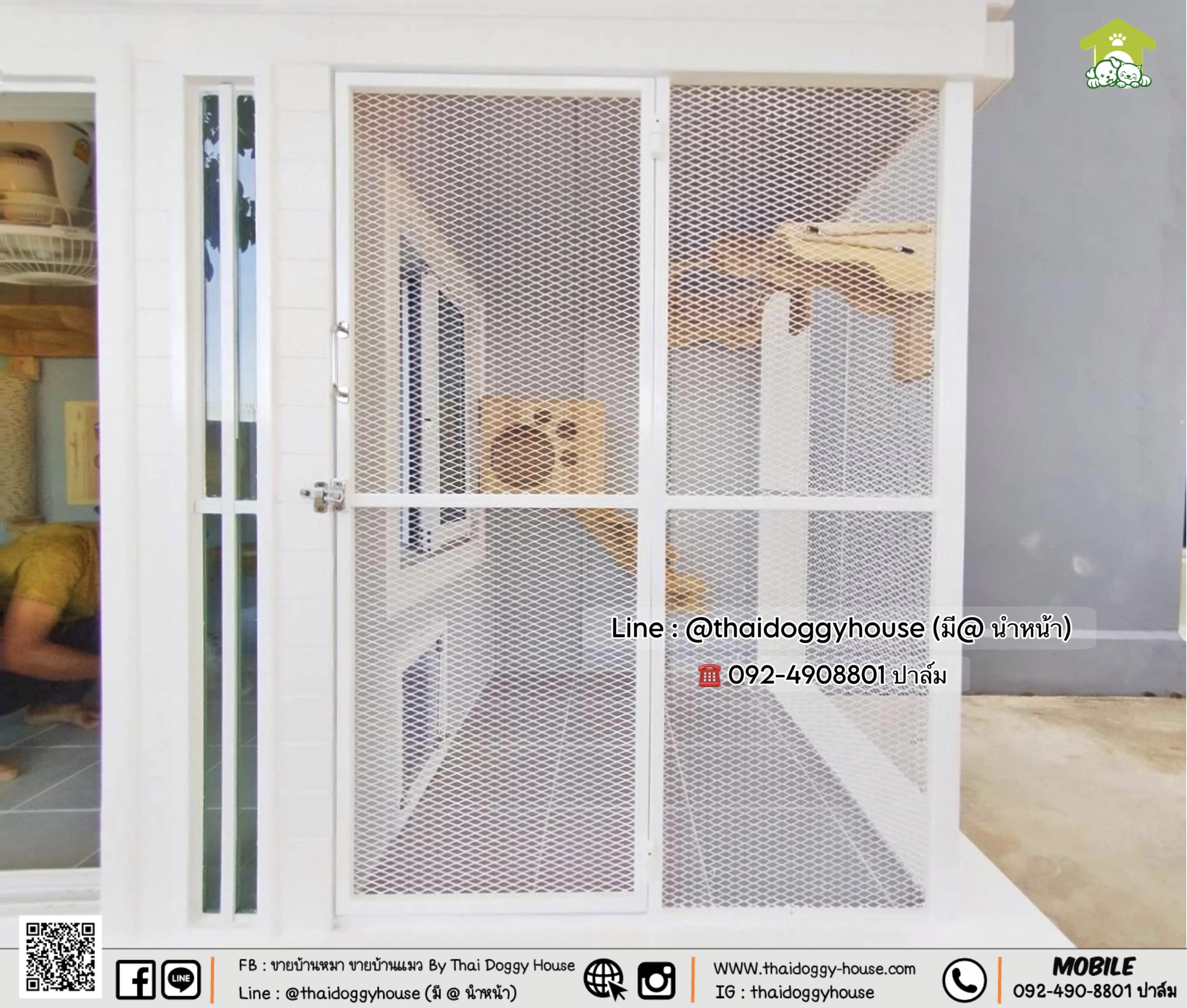 บ้านหมา บ้านแมว 𝐓𝐡𝐚𝐢 𝐝𝐨𝐠𝐠𝐲 𝐡𝐨𝐮𝐬𝐞 ✨แบบบ้าน 𝑩𝒐𝒙 𝑺𝒕𝒚𝒍𝒆