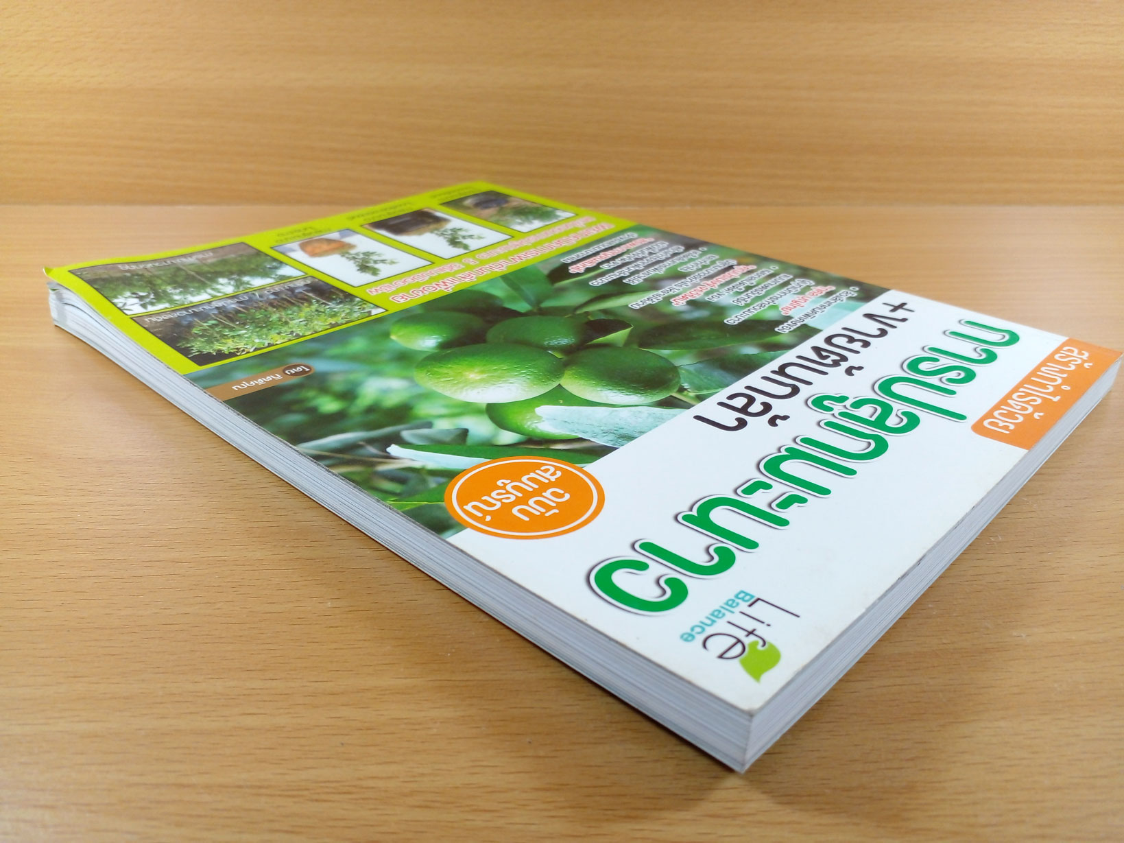 สร้างกำไรด้วยการปลูกมะนาว+ขายต้นกล้า