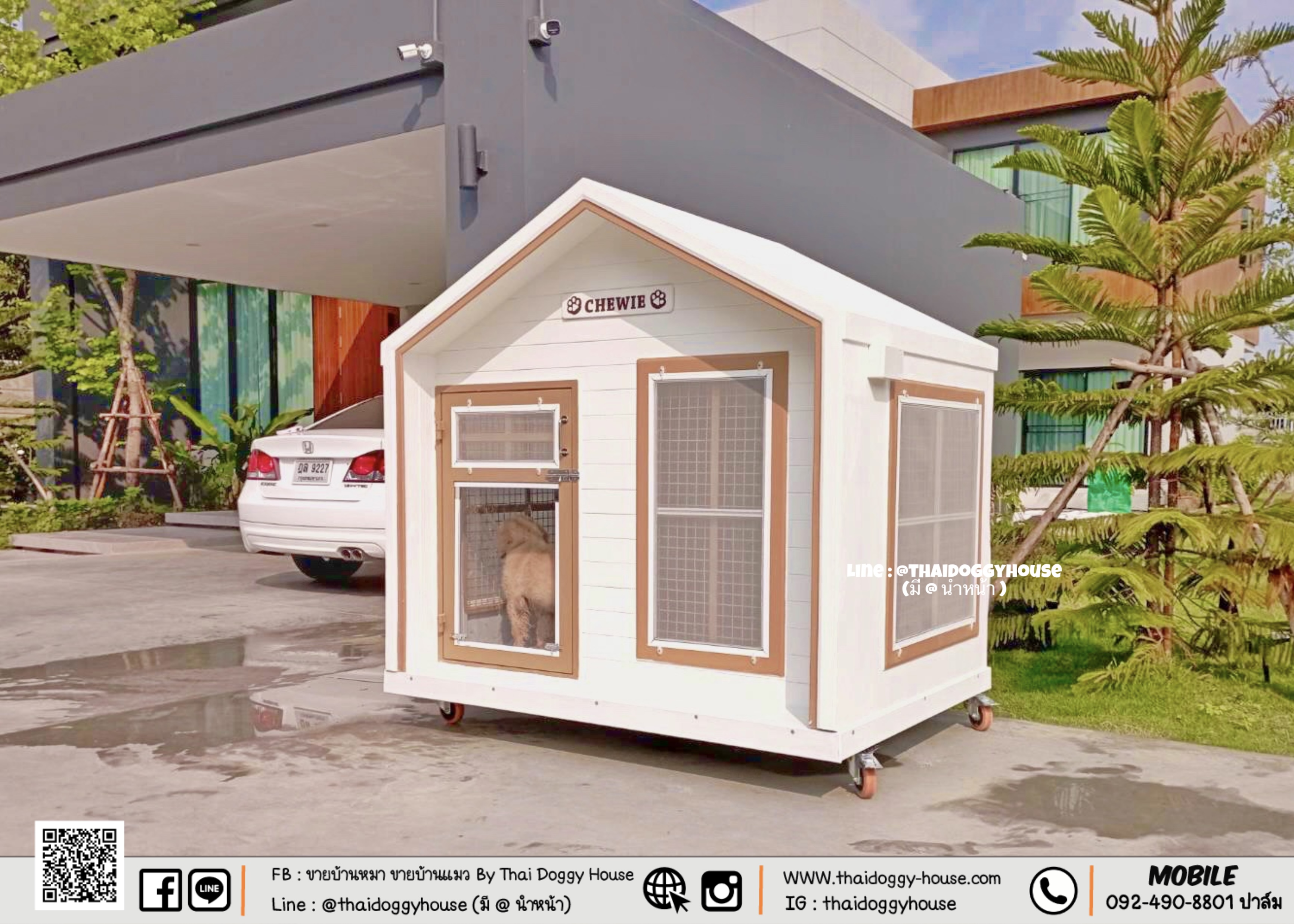 บ้านหมา บ้านแมว ตะแกรงเหล็ก มุ้งลวด