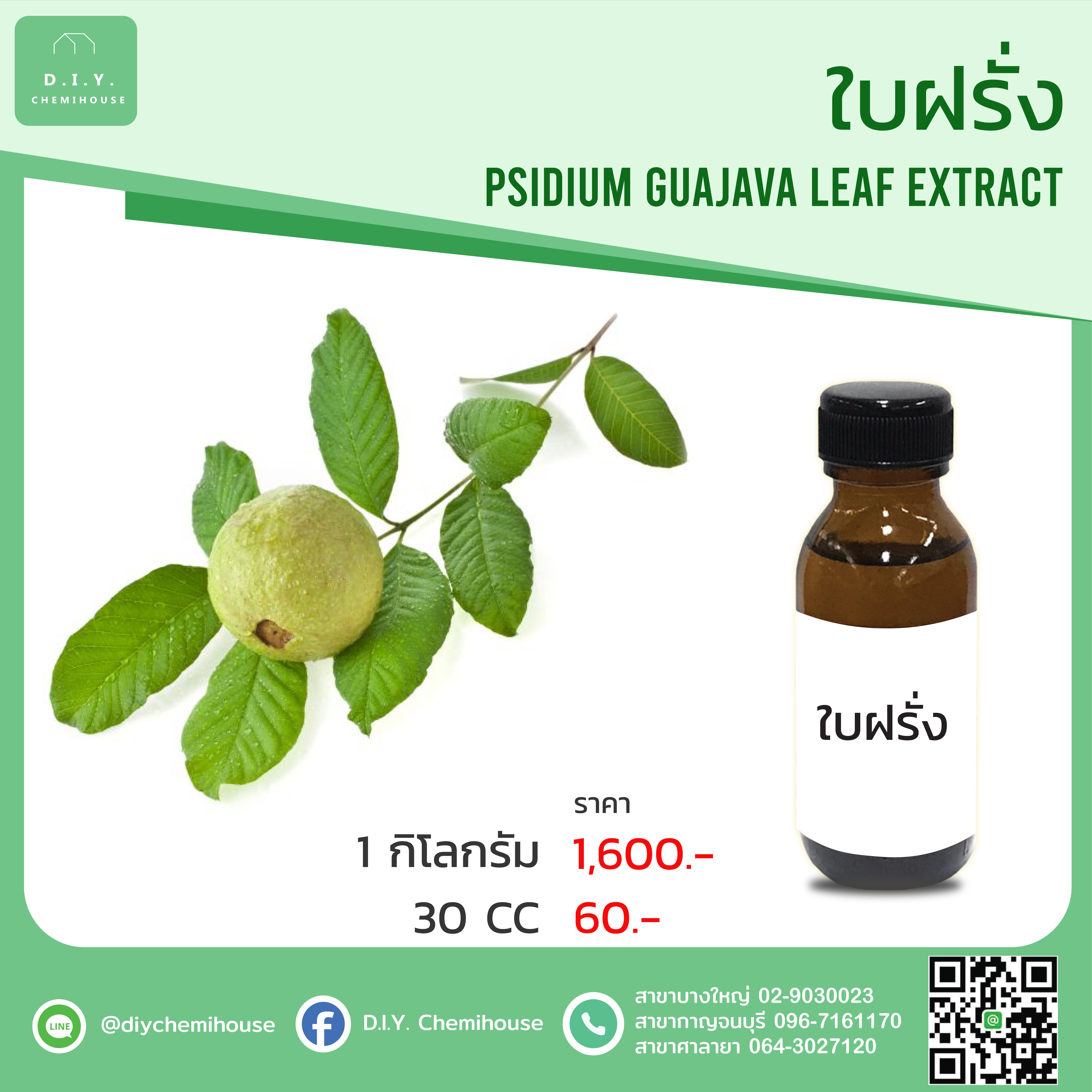 สารสกัดใบฝรั่ง