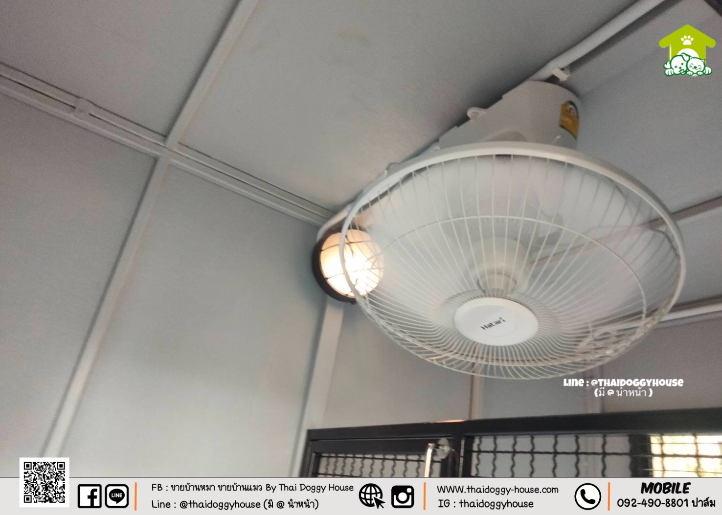 บ้านหมา บ้านแมว " 𝐁𝐎𝐗 𝐒𝐓𝐘𝐋𝐄 𝐁𝐘 𝐓𝐇𝐀𝐈 𝐃𝐎𝐆𝐆𝐘 𝐇𝐎𝐔𝐒𝐄 " &#x