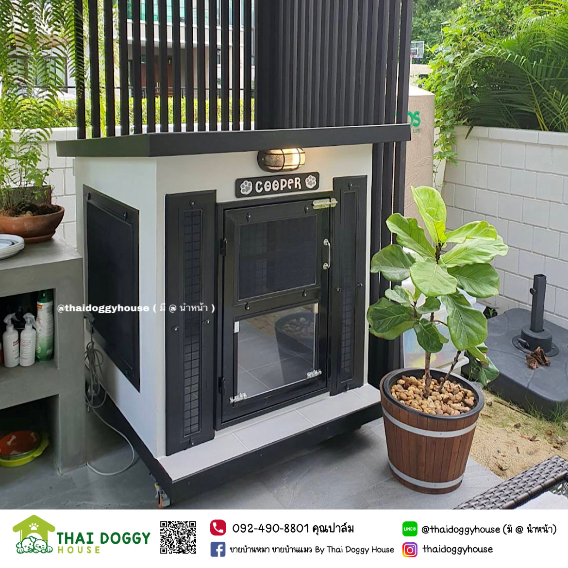 บ้านหมา บ้านแมว BOX STYLE ดีไซน์ทันสมัย แบบขายดี งบเบาๆ