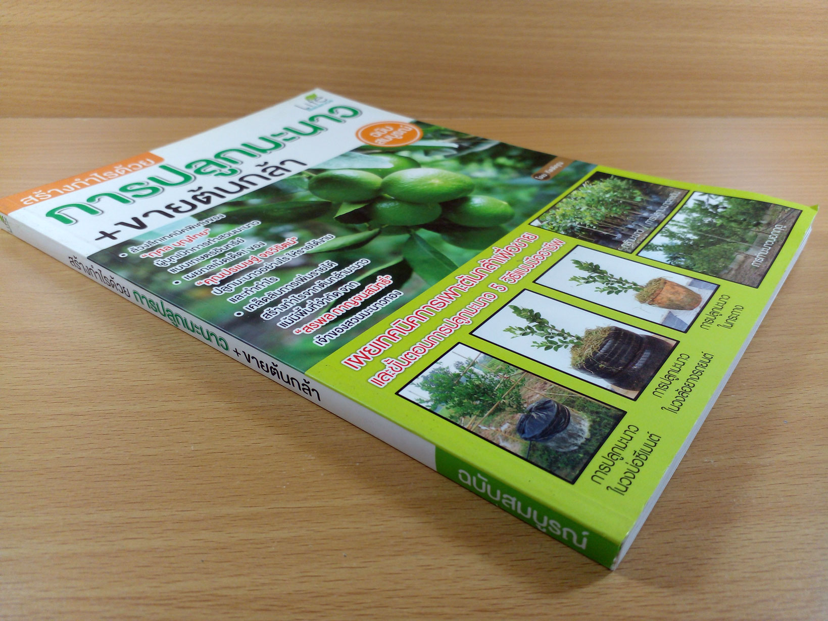 สร้างกำไรด้วยการปลูกมะนาว+ขายต้นกล้า