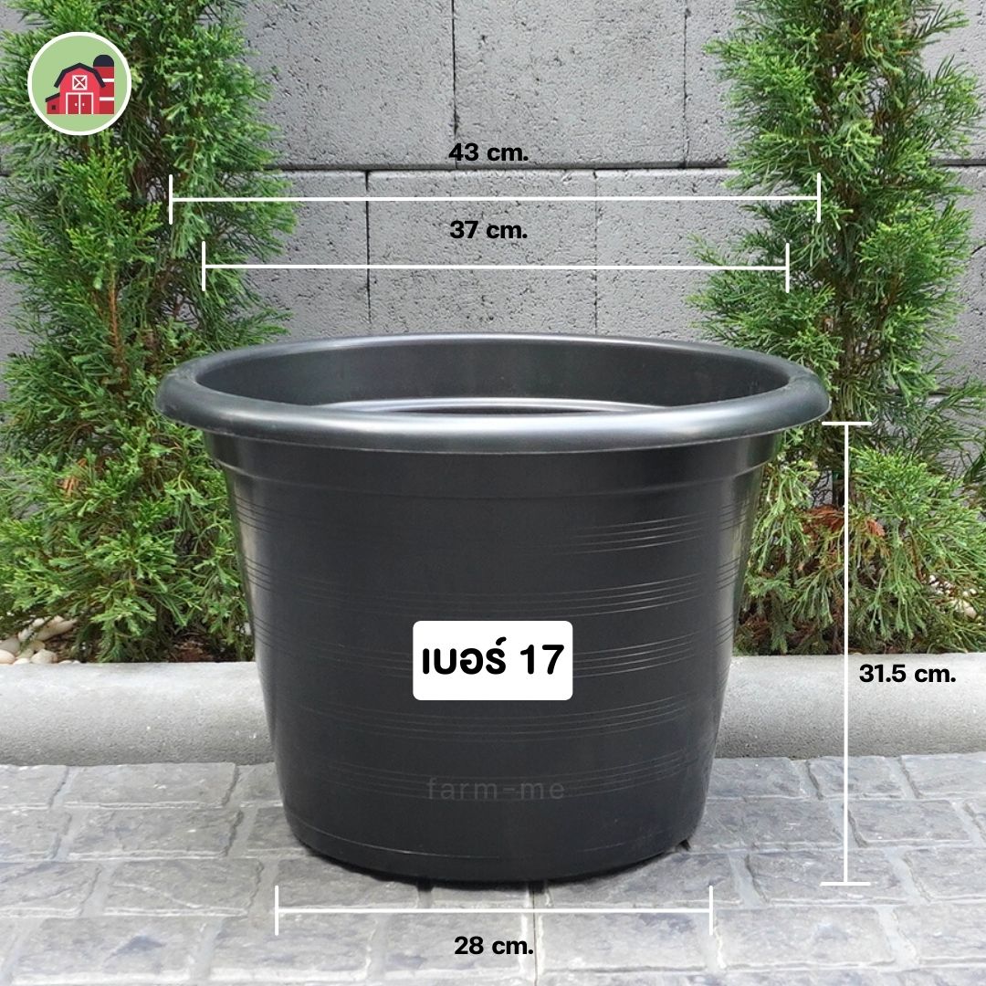 กระถางต้นไม้ กลมดำ เบอร์17