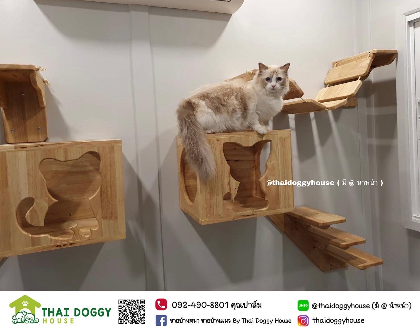 บ้านน้องแมว แบบติดแอร์