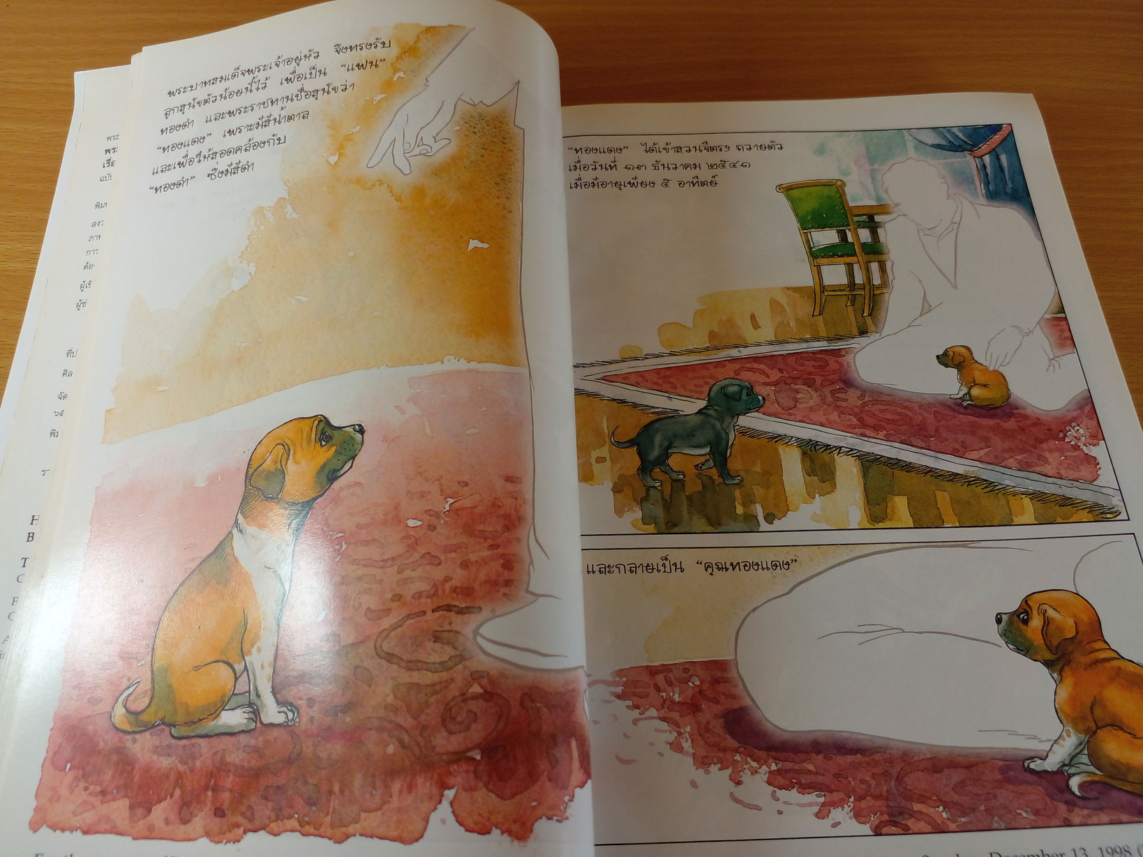 เรื่องทองแดงฉบับการ์ตูน