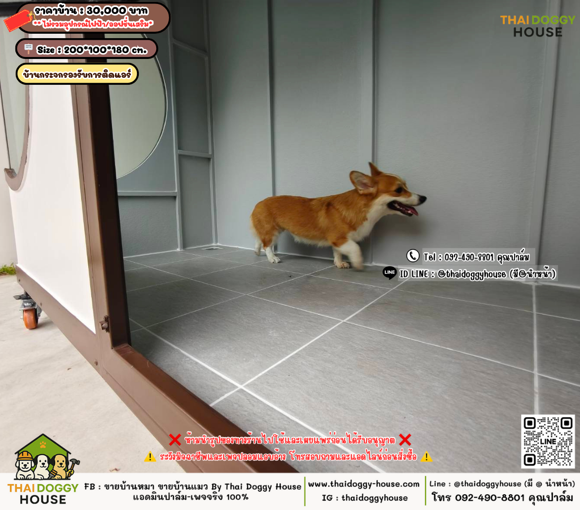 บ้านหมา บ้านแมว 𝐓𝐡𝐚𝐢 𝐝𝐨𝐠𝐠𝐲 𝐡𝐨𝐮𝐬𝗲