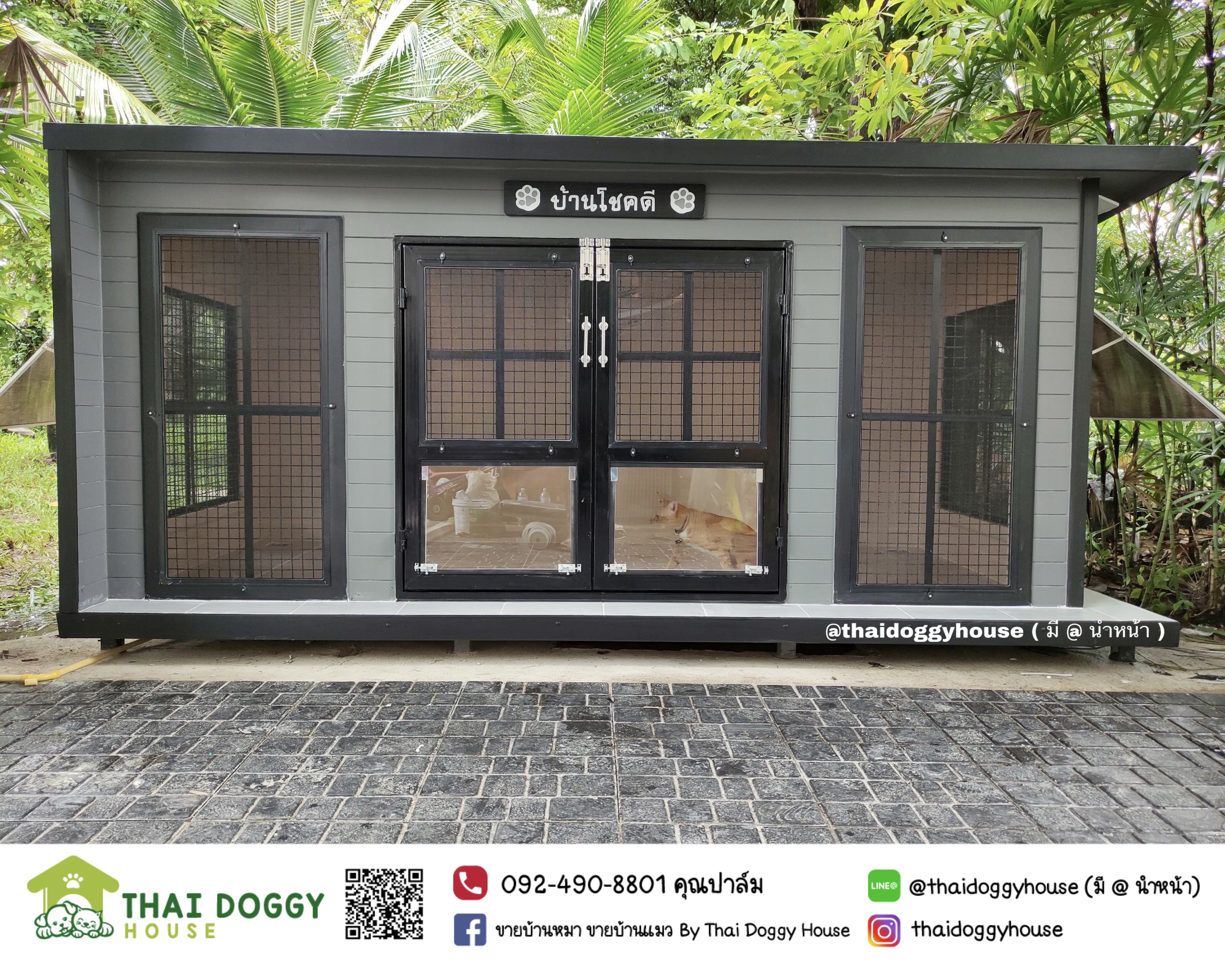 บ้านหมา บ้านแมว ราคาถูกหลังใหญ่ อากาศถ่ายเทได้ดี แบบขายดีที่สุด มีบานสวิงให้น้องหมา แมวเข้า-ออกเอง