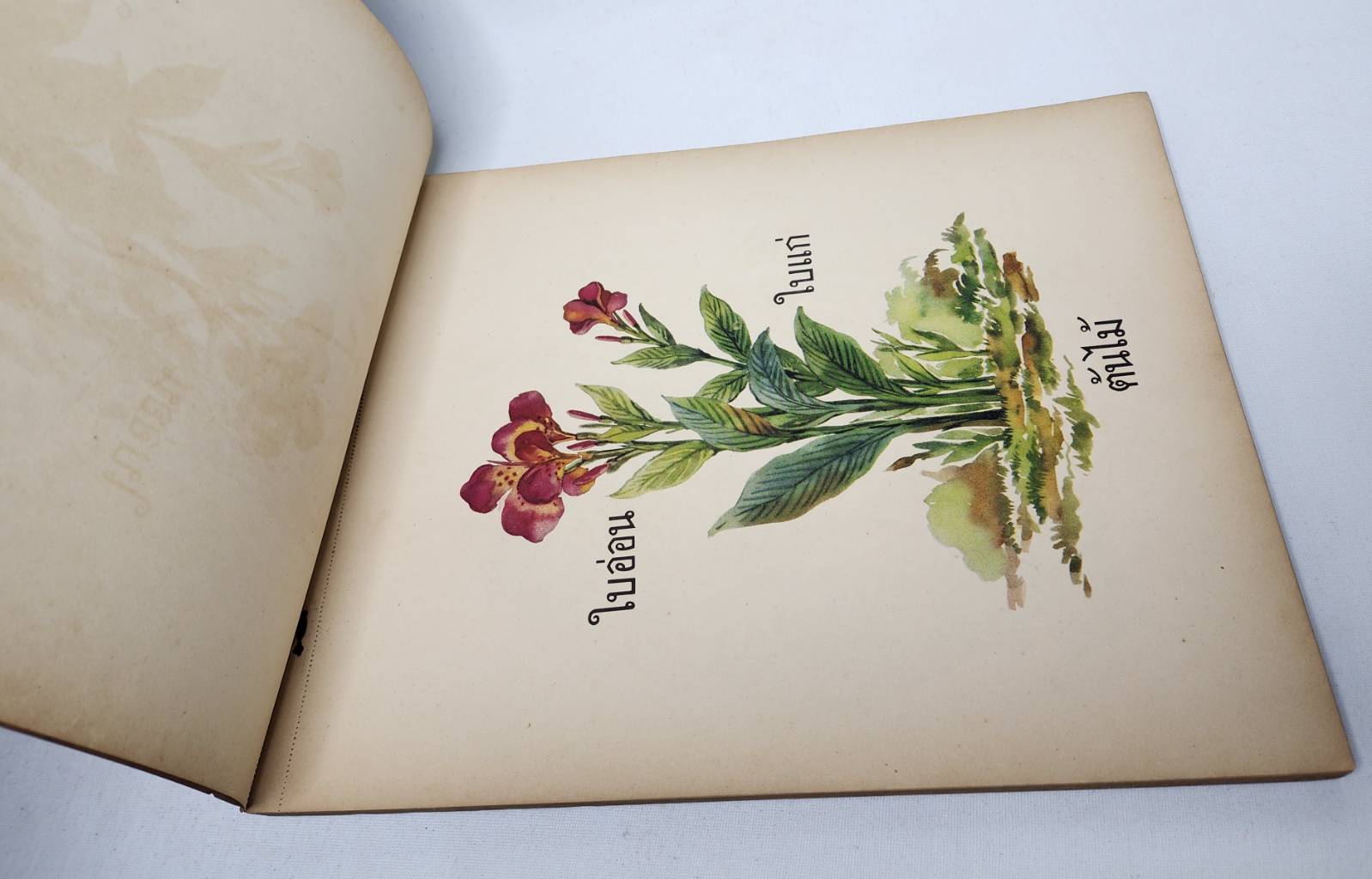 คู่มิอครูชั้นประถมศึกษาปีที่หนึ่ง ภาพผนัง สำหรับหนังสือ "ไปโรงเรียน" 027418