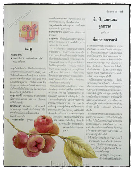 รู้คุณรู้โทษโภชนาการ 023215