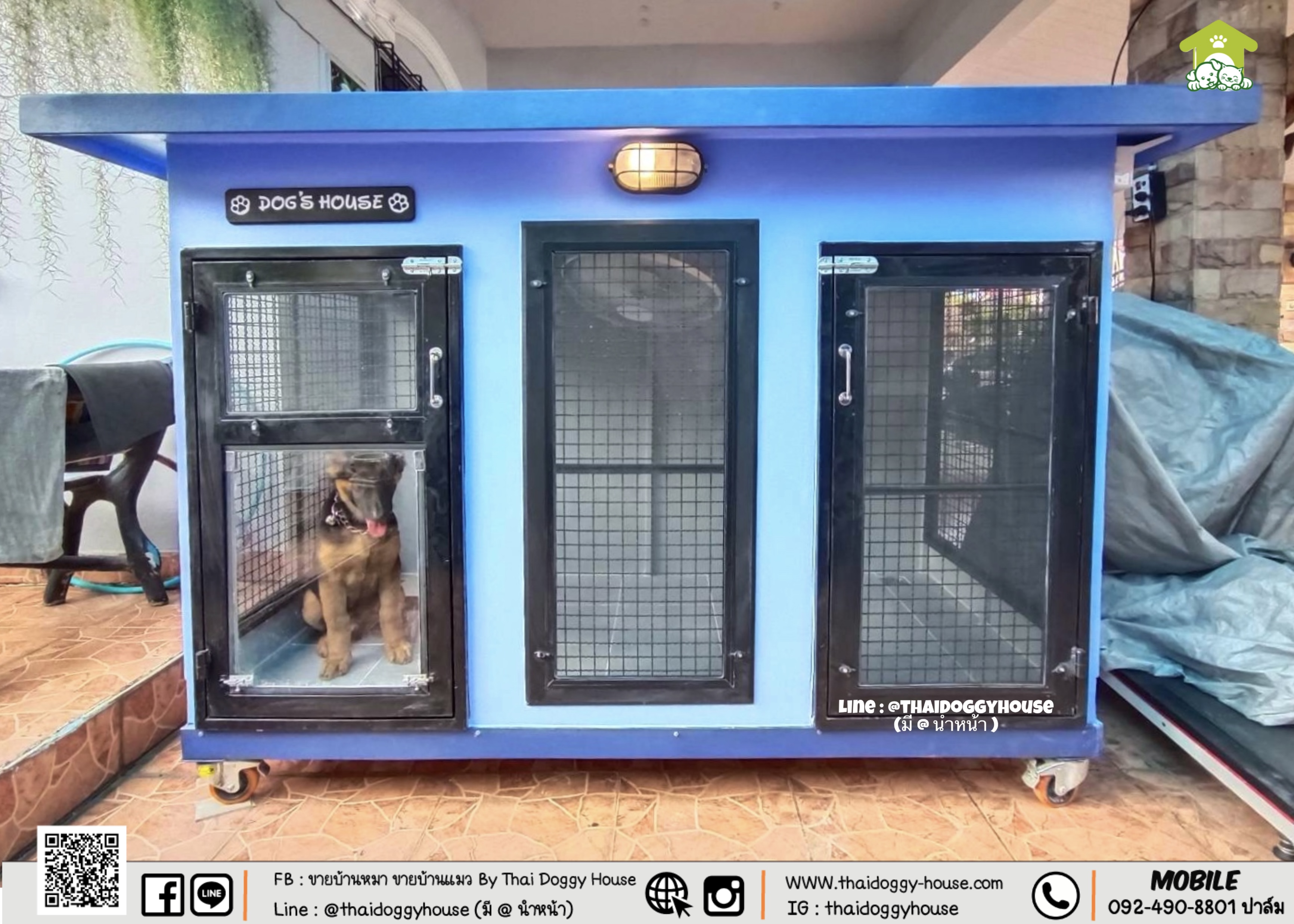 บ้านหมา บ้านแมว " 𝐁𝐎𝐗 𝐒𝐓𝐘𝐋𝐄 𝐁𝐘 𝐓𝐇𝐀𝐈 𝐃𝐎𝐆𝐆𝐘 𝐇𝐎𝐔𝐒𝐄 " &#x