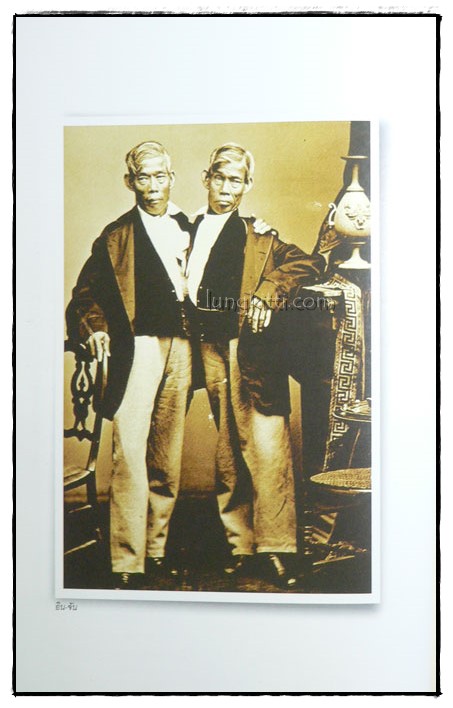 คู่กันนิรันดร 025111