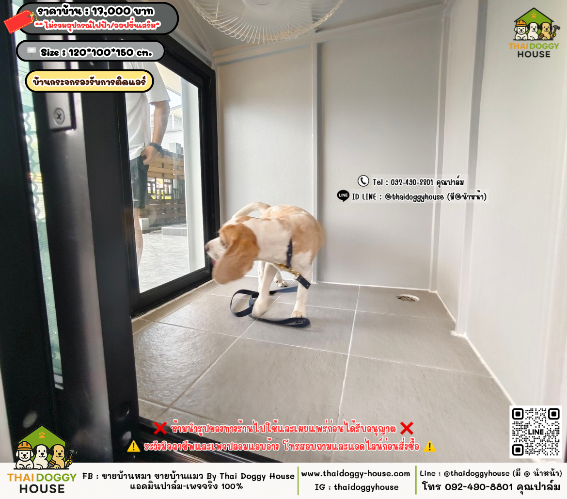 บ้านหมา บ้านแมว 𝐓𝐡𝐚𝐢 𝐝𝐨𝐠𝐠𝐲 𝐡𝐨𝐮𝐬𝗲