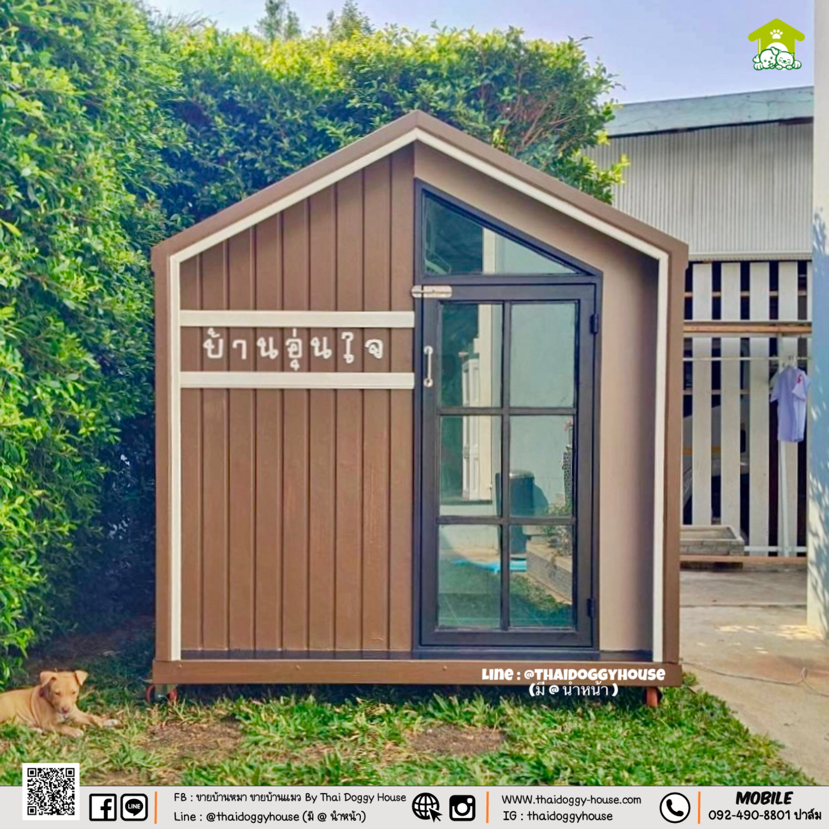 𝗠𝗜𝗡𝗜𝗠𝗔𝗟 𝗦𝗧𝗬𝗟𝗘 ✨ 🏡 บ้านหมา บ้านแมว " 𝐓𝐇𝐀𝐈 𝐃𝐎𝐆𝐆𝐘 𝐇𝐎US