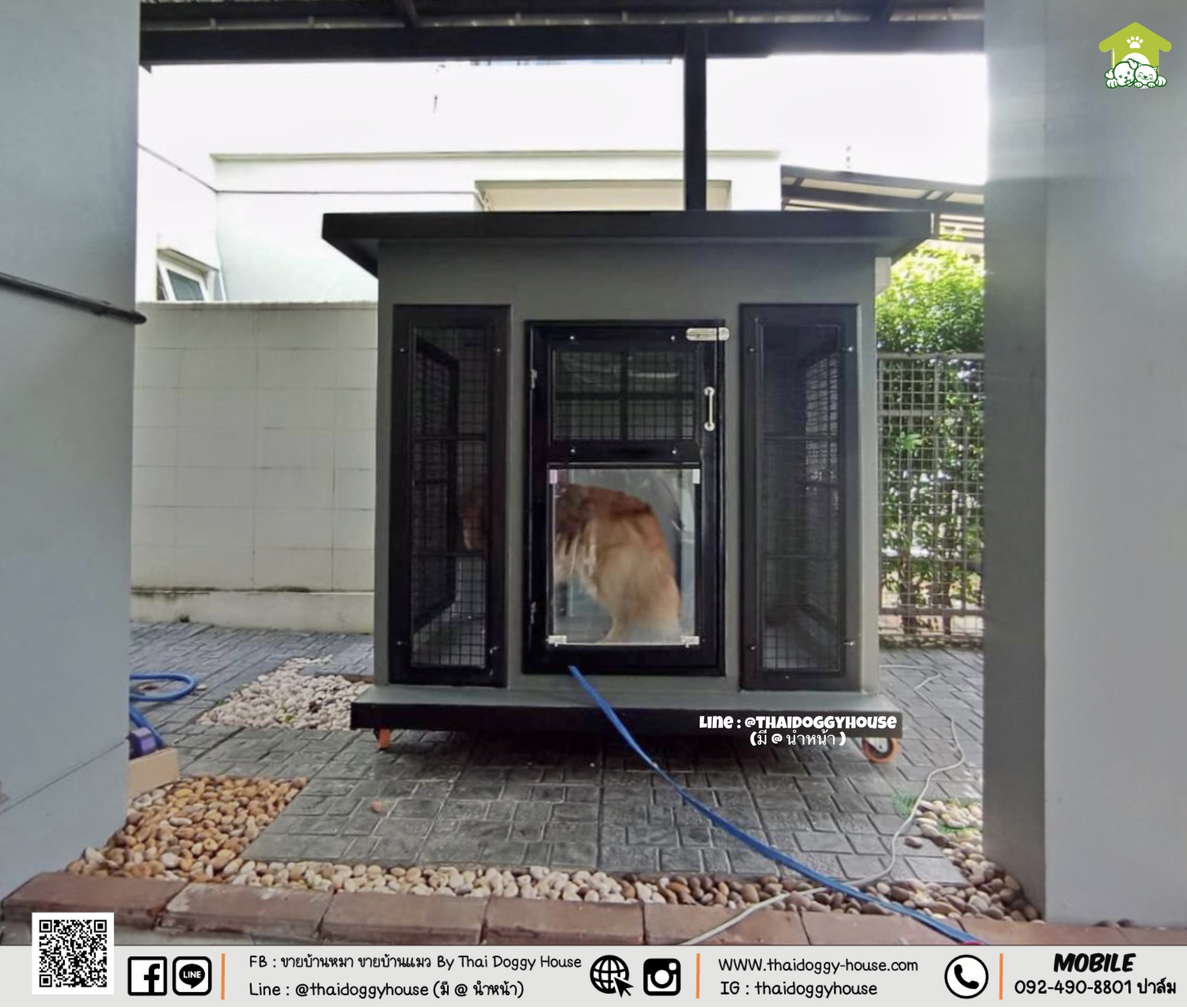 บ้านหมา บ้านแมว " 𝐁𝐎𝐗 𝐒𝐓𝐘𝐋𝐄 𝐁𝐘 𝐓𝐇𝐀𝐈 𝐃𝐎𝐆𝐆𝐘 𝐇𝐎𝐔𝐒𝐄 "