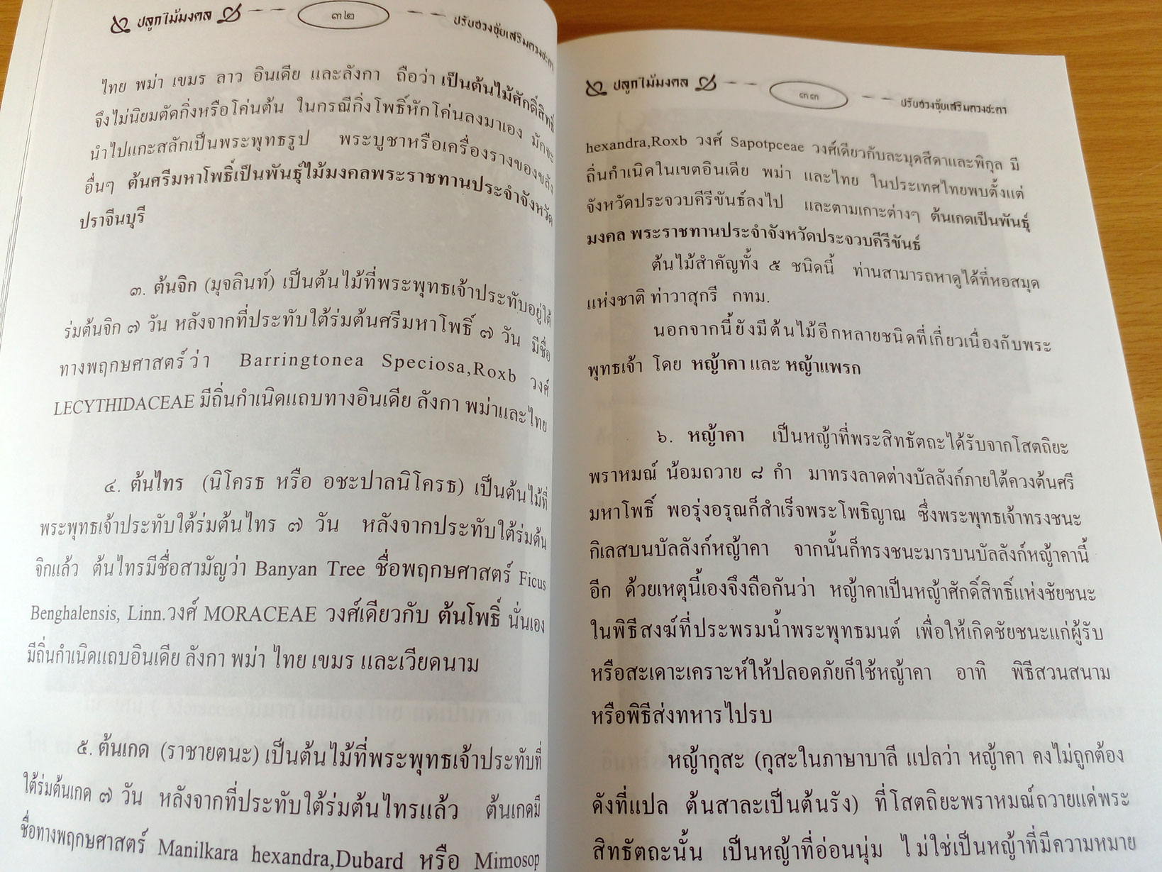 ปลูกไม้มงคล ปรับฮวงจุ้ยเสริมดวงชะตา