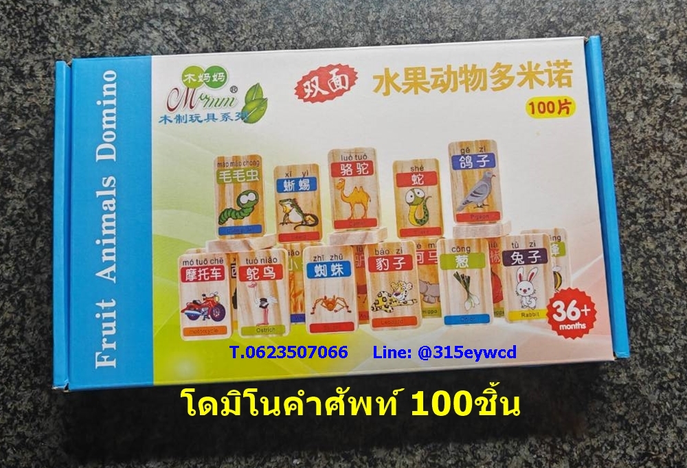 โดมิโนคำศัพท์ (ผลไม้สัตว์) 100ชิ้น