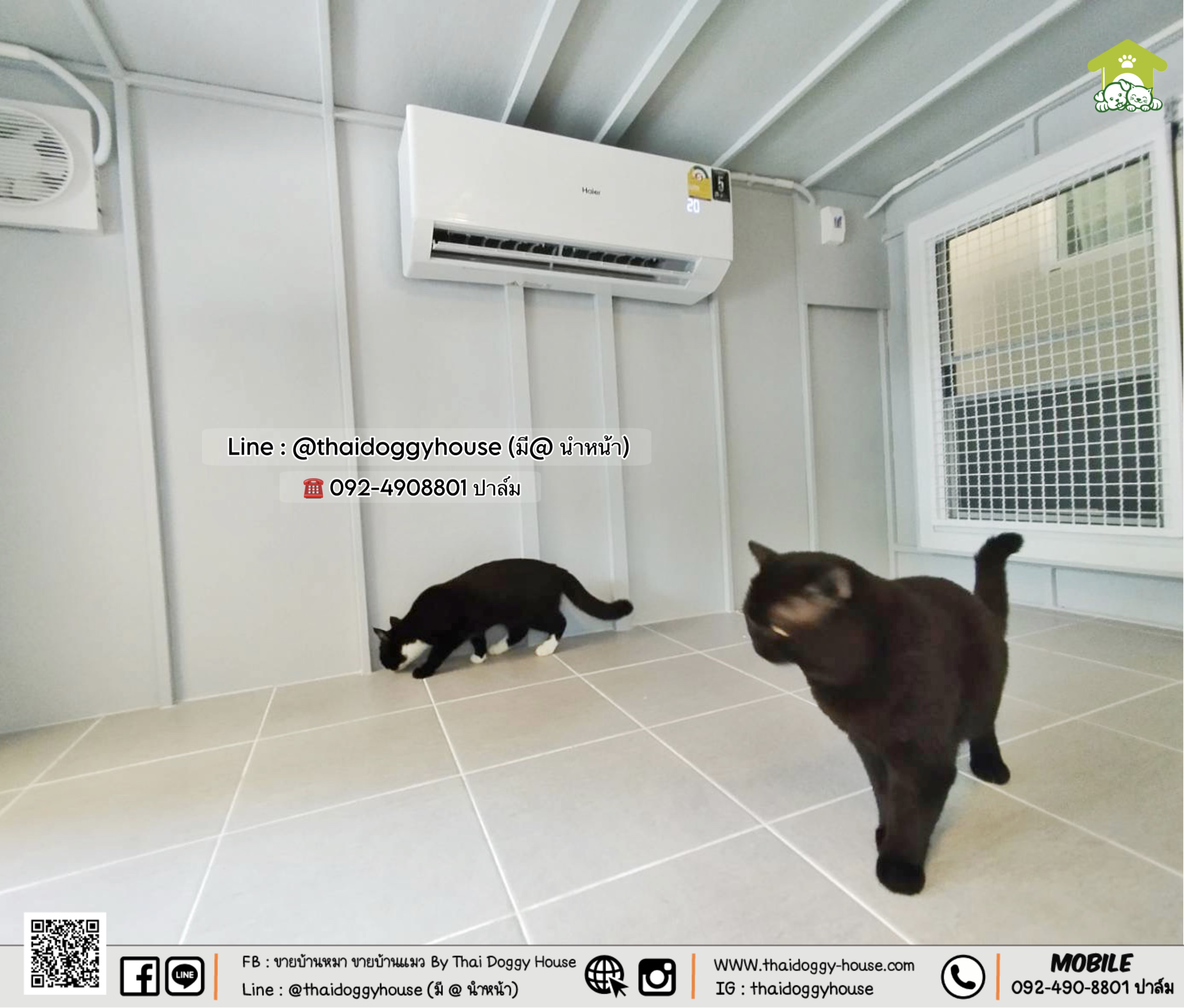 🏡🌦️บ้านหมา บ้านแมว 𝐓𝐡𝐚𝐢 𝐝𝐨𝐠𝐠𝐲 𝐡𝐨𝐮𝐬𝐞