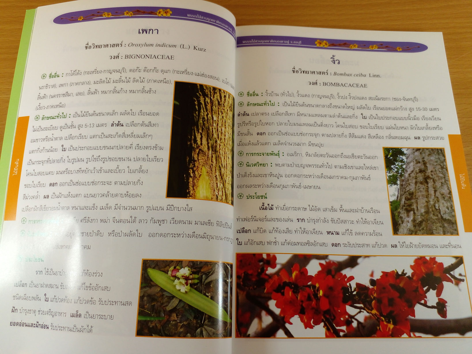 พรรณไม้สวนรุขชาติหนองตาอยู่ จังหวัดชลบุรี