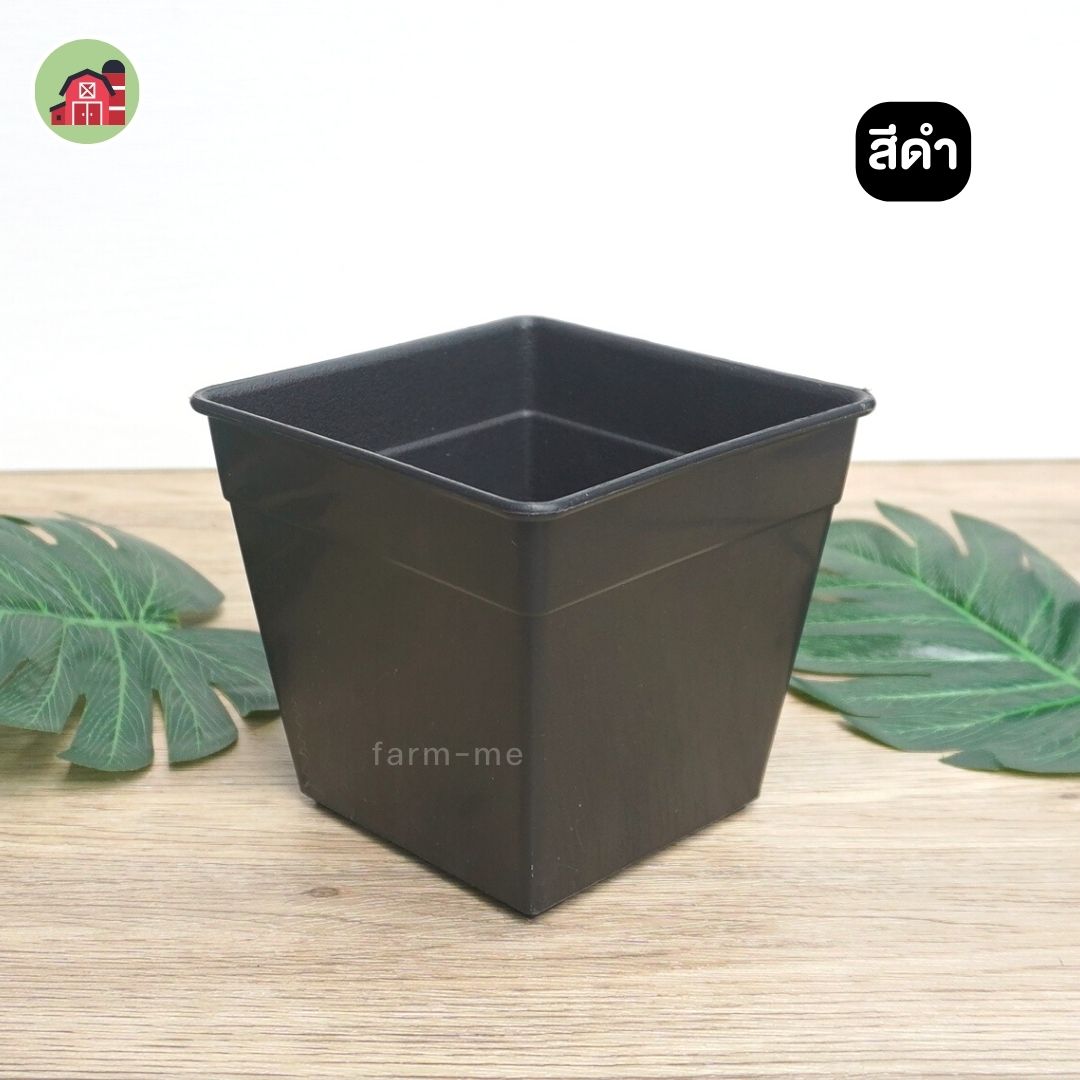 กระถางแคตตัส สี่เหลี่ยม เบอร์5 แพ็ค50ใบ