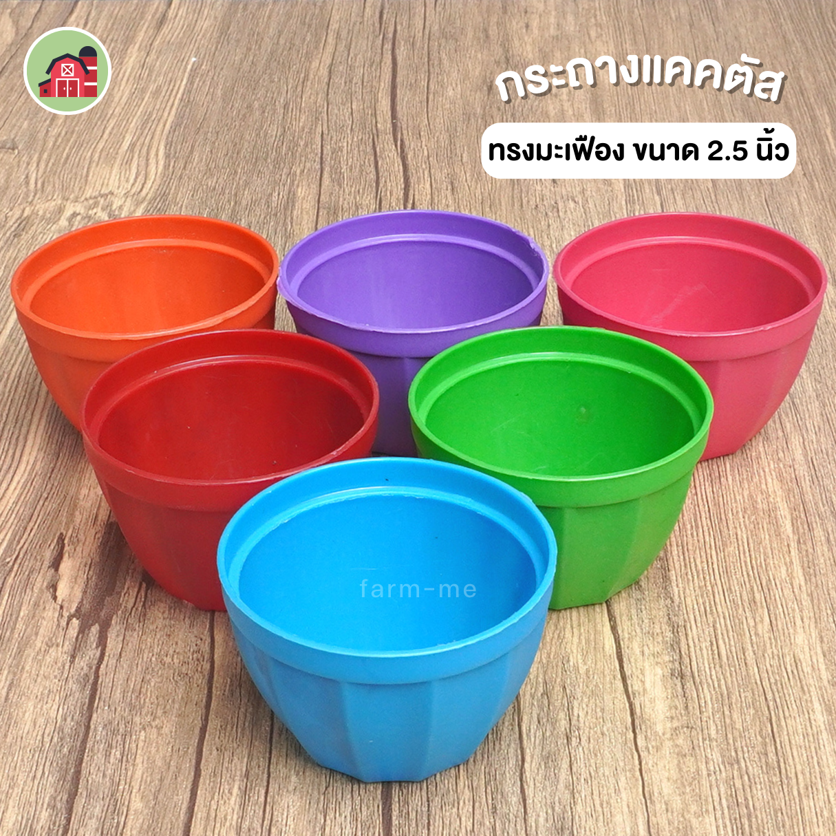 กระถางแคคตัส กลม ขนาด 2.5 นิ้ว ทรงมะเฟือง แพ็ค50ใบ