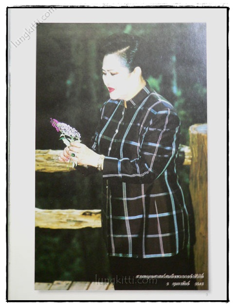 สวนพฤกษศาสตร์สมเด็จพระนางเจ้าสิริกิติ์ กล้วยไม้ไทย 023519 (1)