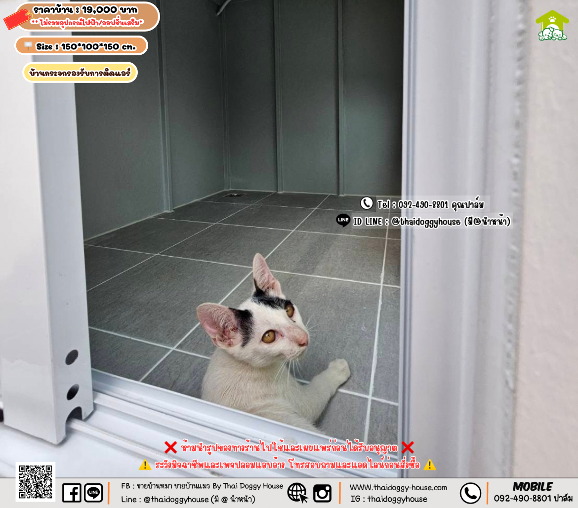 บ้านหมา บ้านแมว 𝐓𝐡𝐚𝐢 𝐝𝐨𝐠𝐠𝐲 𝐡𝐨𝐮𝐬𝗲