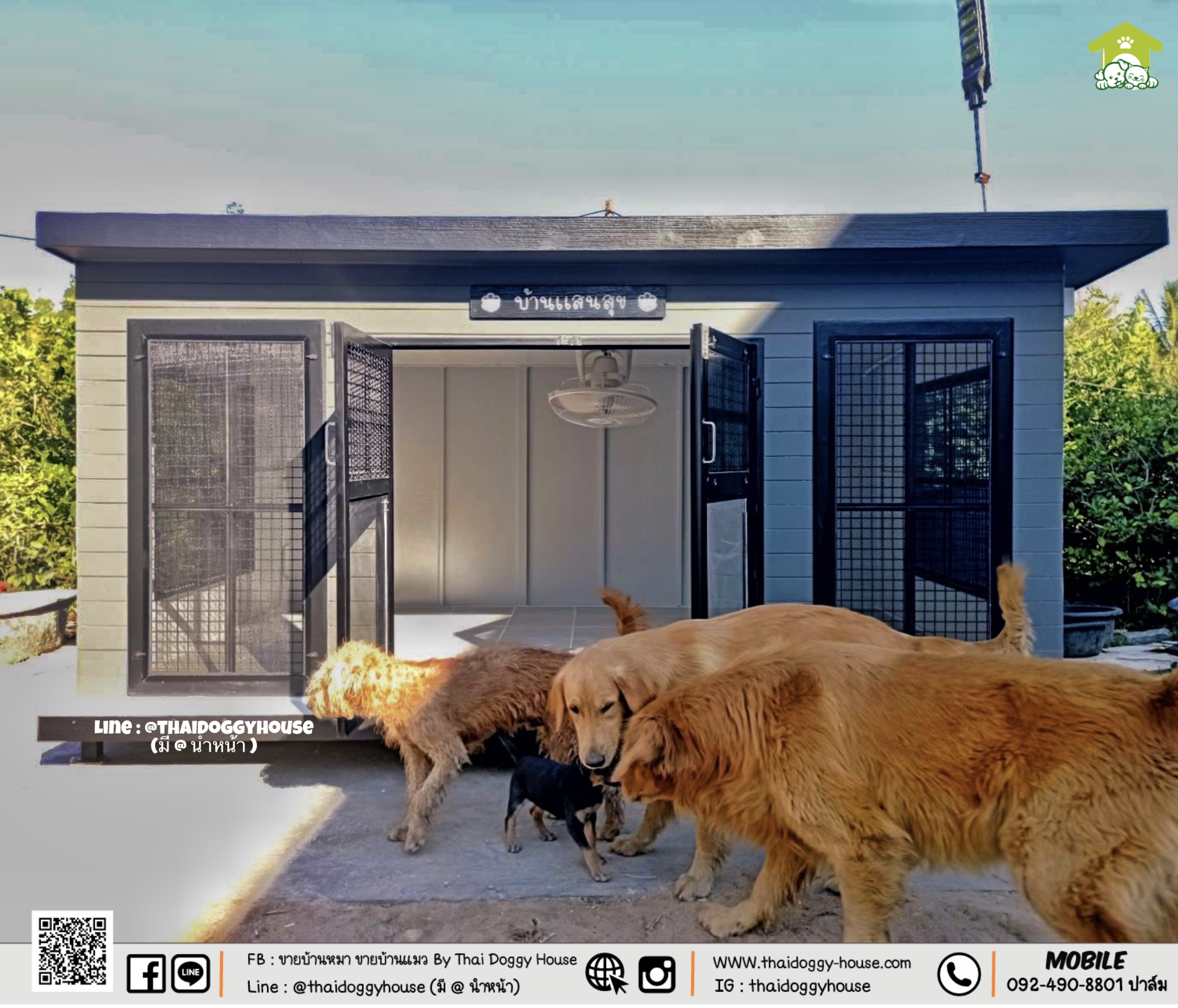 บ้านหมา บ้านแมว " 𝐁𝐎𝐗 𝐒𝐓𝐘𝐋𝐄 𝐁𝐘 𝐓𝐇𝐀𝐈 𝐃𝐎𝐆𝐆𝐘 𝐇𝐎𝐔𝐒𝐄 "