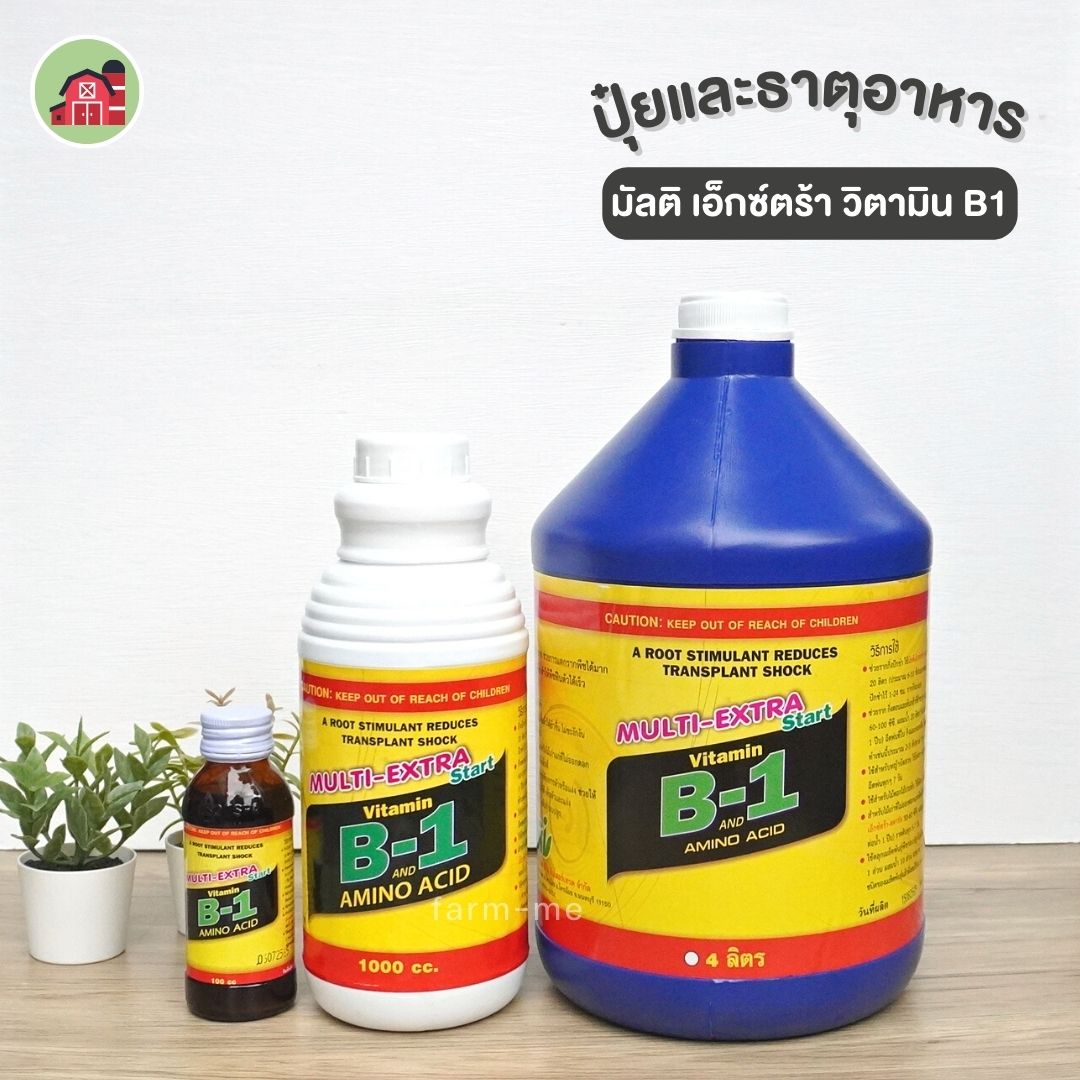 วิตามิน B1