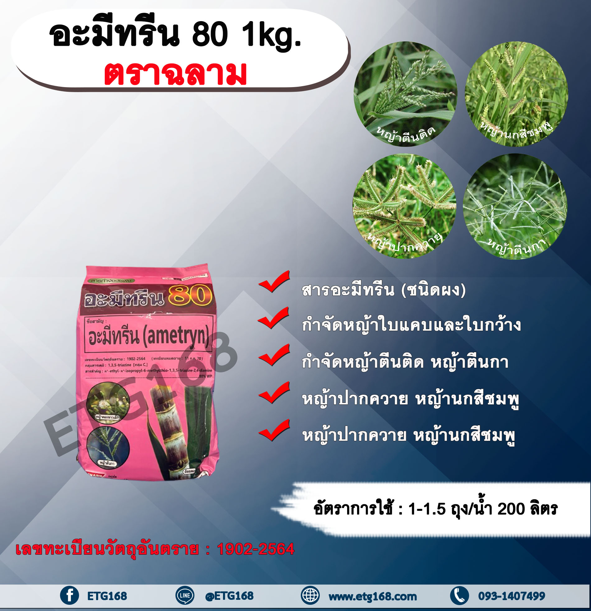 อะมีทรีน 80 ตราฉลาม 1kg. อะมีทรีน อามีทรีน สารกำจัดวัชพืช กำจัดหญ้า ใบแคบและใบกว้าง ในอ้อย แบบดูดซึม ชนิดผง กำจัดหญ้า หญ้าตีนติด หญ้าตีนกา หญ้าปากควาย หญ้านกสีชมพู หญ้าตีนนก หญ้าดอกขาว