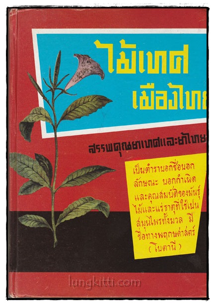 ไม้เทศ เมืองไทย / หมอเสงี่ยม พงษ์บุญรอด 002601