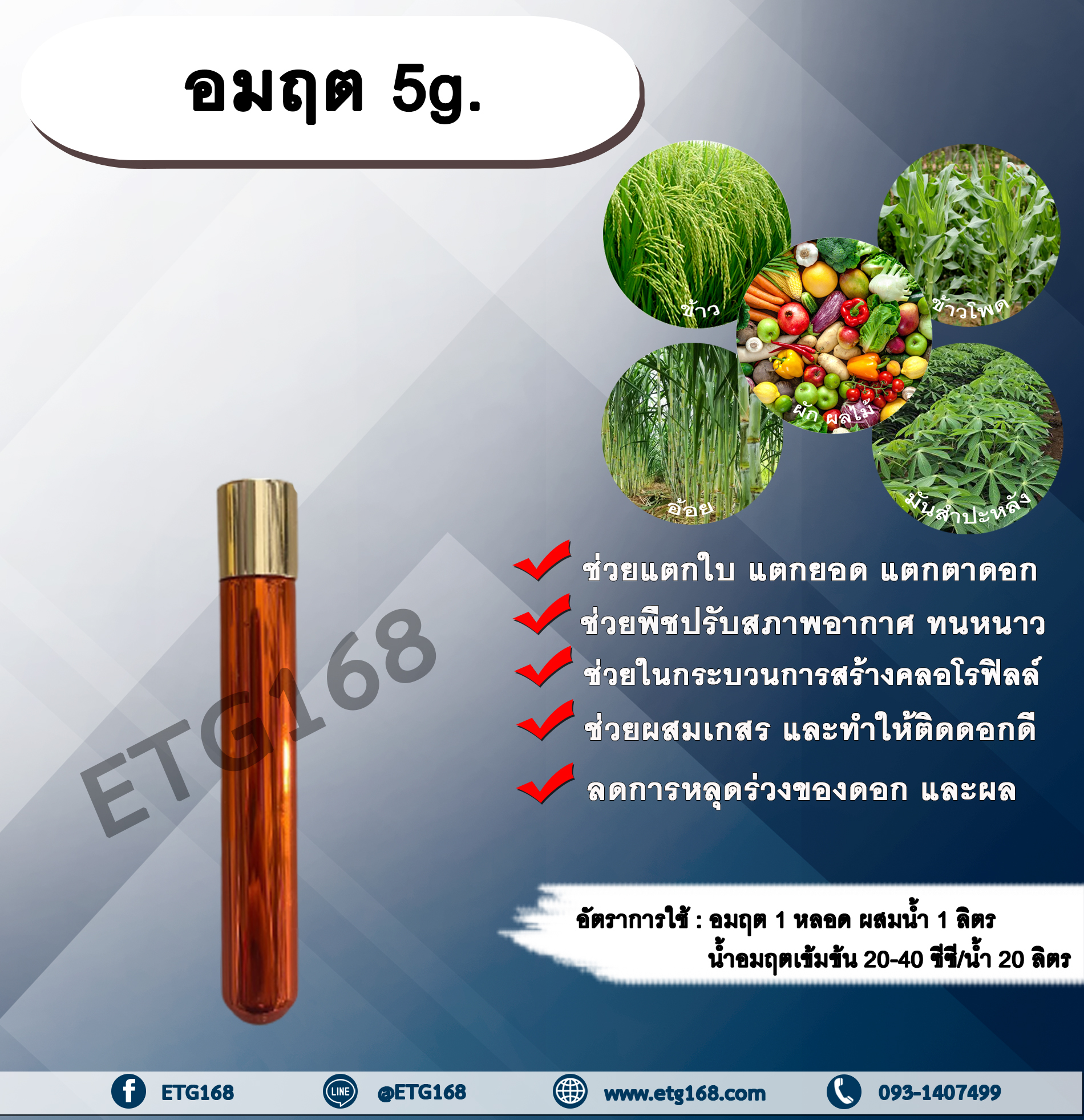 อมฤต 5g. สารเพิ่มพลังงานพืชโมเลกุลใหม่ ชนิดผง พืชทนทานต่อความแปรปรวนของสภาพอากาศ สร้างคลอโรฟิลล์ เกสรตัวผู้แข็งแรง ผสมเกสร ติดดอกดี ลดการหลุดร่วงของดอก และผล สารสร้างความสุขให้แก่พืช