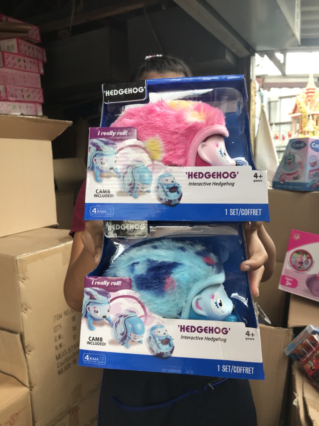 8816 สัตว์เลี้ยง เม่นกลิ้ง (เซลมีตำหนิสินค้าเปื้อน) ตัวละ