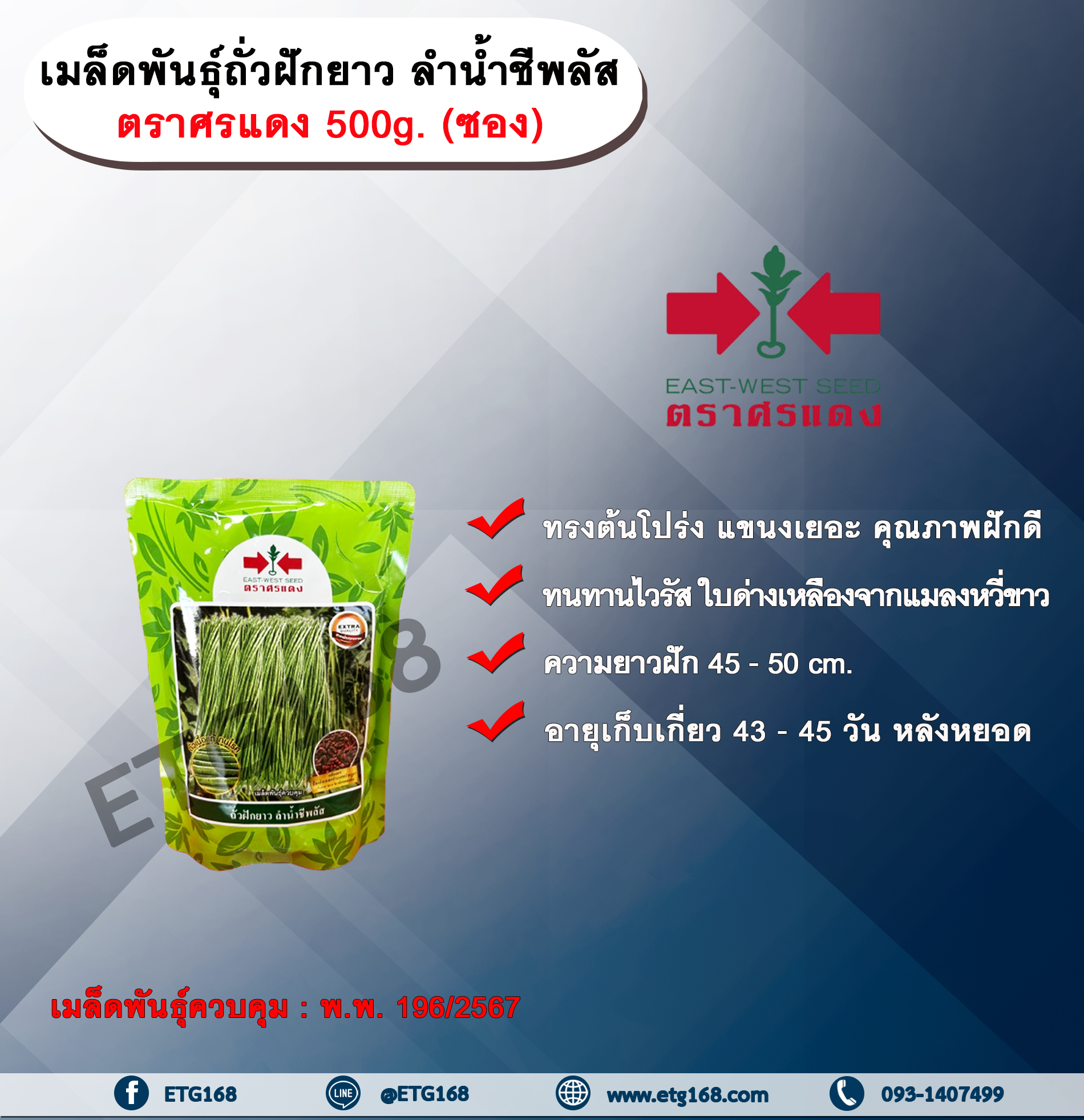 เมล็ดพันธุ์ถั่วฝักยาว ลำน้ำชีพลัส ตราศรแดง 500g. (ซอง) เมล็ดพันธุ์ เมล็ดพันธุ์ผัก เมล็ดพันธุ์พืช เมล็ดพันธุ์ถั่วฝักยาว ทรงต้นโปร่ง แขนงเยอะ คุณภาพฝักดี ทนทานไวรัส ใบด่างเหลืองจากแมลงหวี่ขาว ผลผลิตสูงเมล็ดพันธุ์ควบคุม ศรแดง