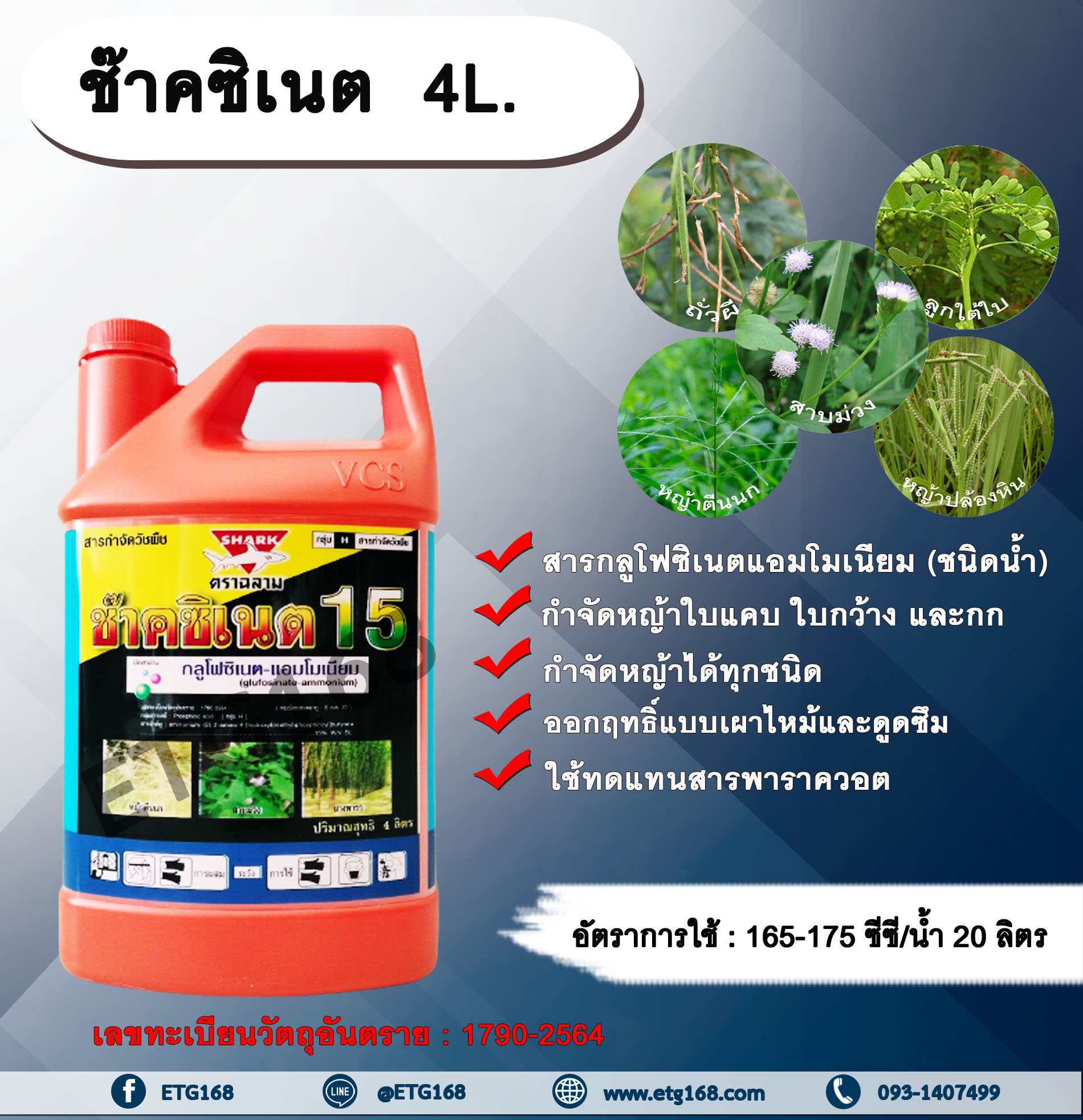 ช๊าคซิเนต 4L. กลูโฟซิเนตแอมโมเนียม สารกำจัดวัชพืช กำจัดหญ้าใบแคบ ใบกว้าง กก หญ้าทุกชนิด ออกฤทธิ์แบบเผาไหม้และดูดซึม