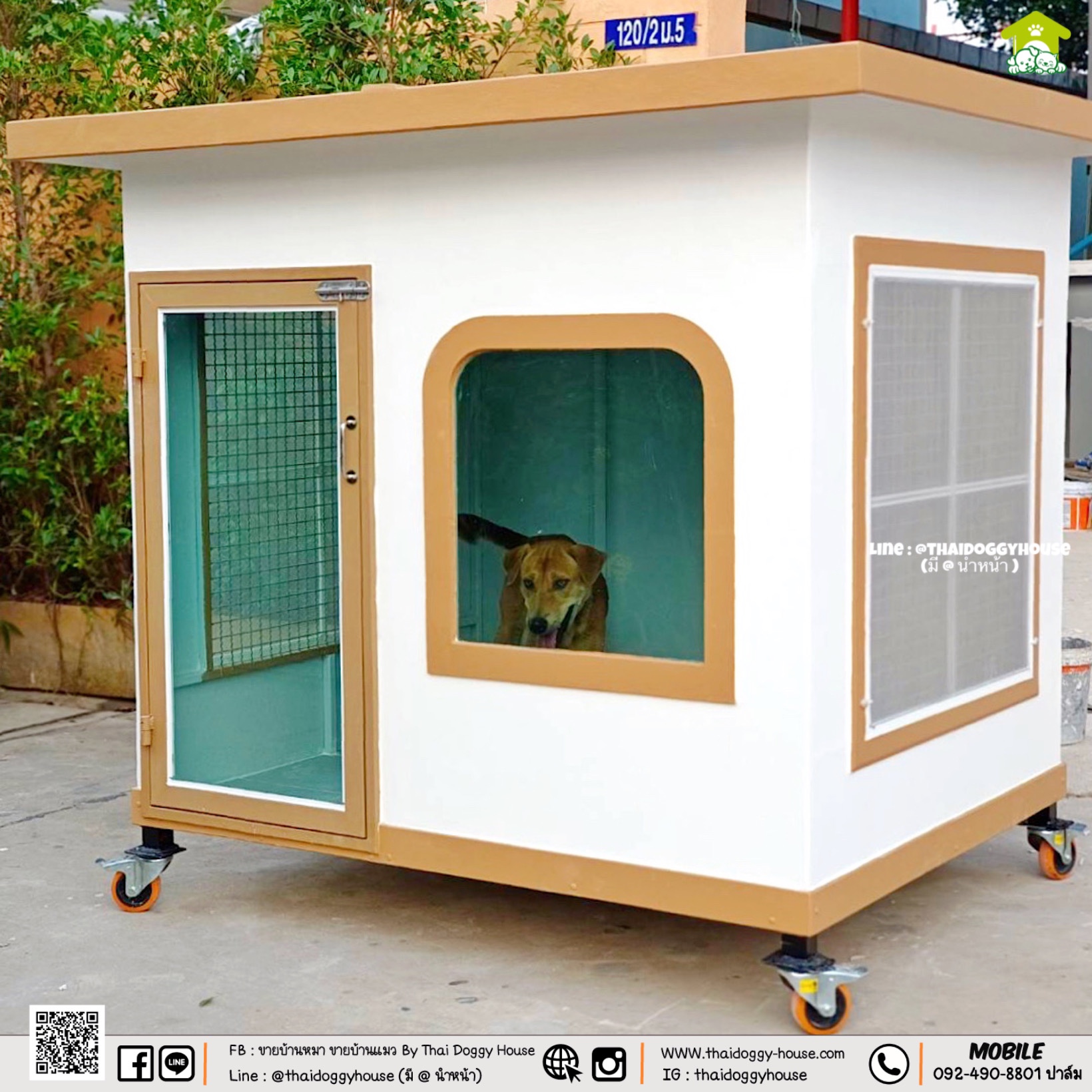 บ้านหมา บ้านแมว " 𝐓𝐇𝐀𝐈 𝐃𝐎𝐆𝐆𝐘 𝐇𝐎𝐔𝐒𝐄 " 🐕🦺🐈 แบบใหม่ล่าสุดของทางร้าน ดีไซน์ทันสมัย ให้ความรู้สึกเรียบหรู สวยงาม